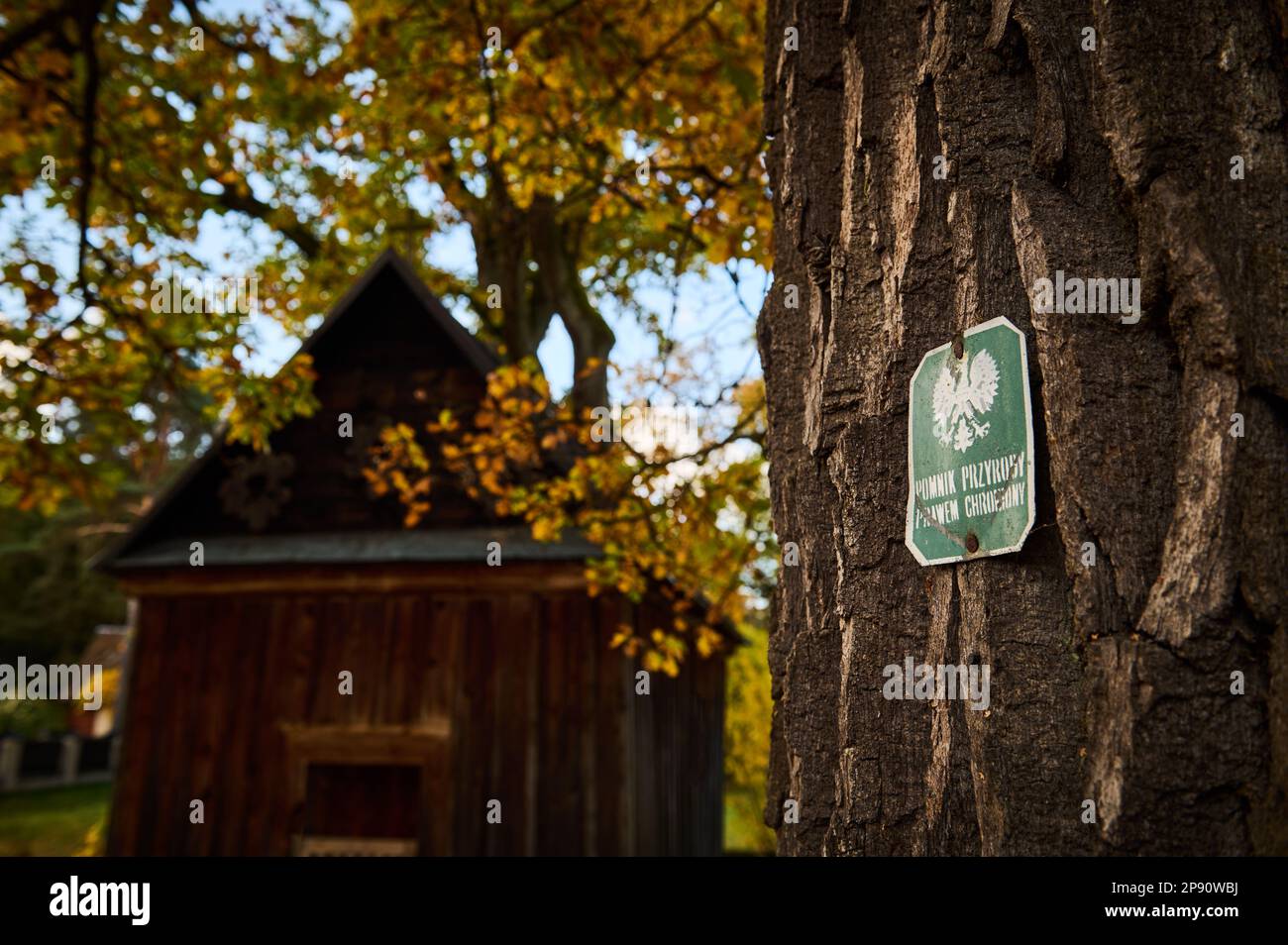 Una targa su un albero che indica un monumento di natura animata Foto Stock