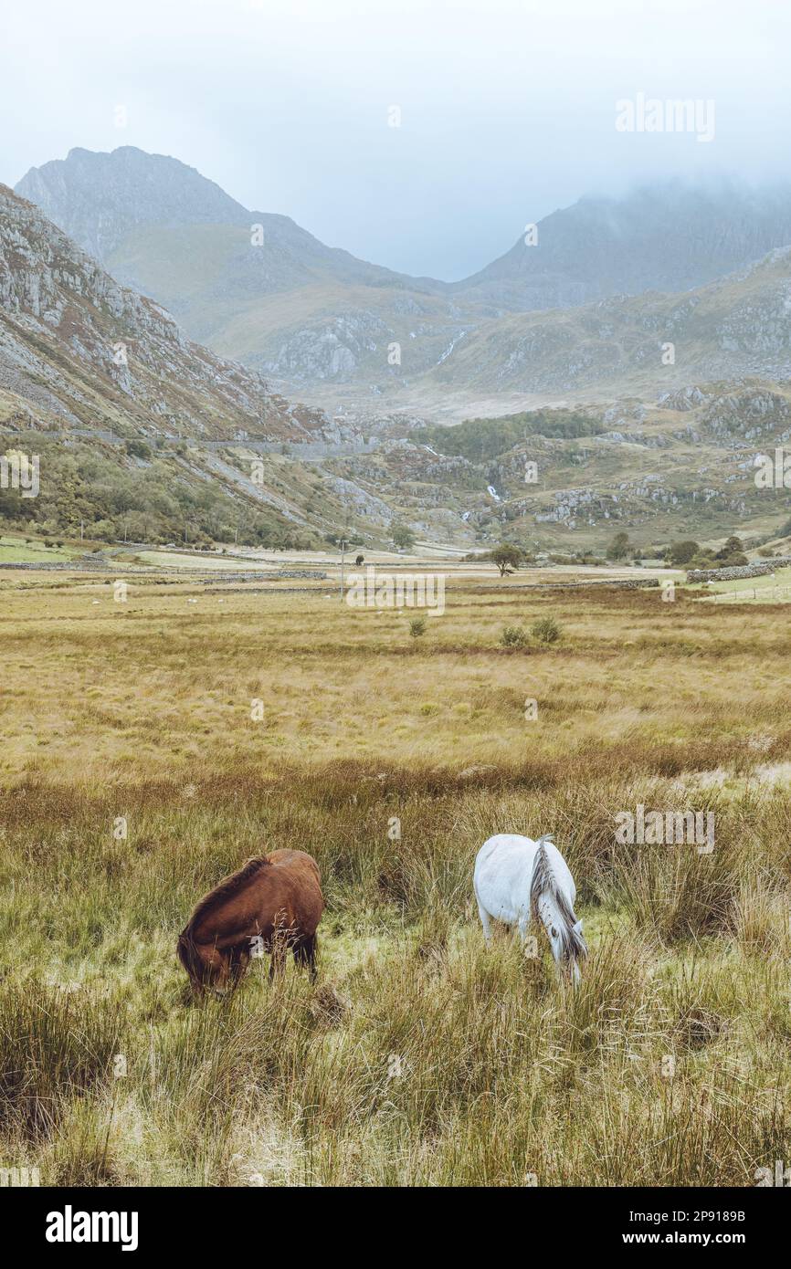 Ogwen Valley, Snowdonia, il Galles del Nord Foto Stock
