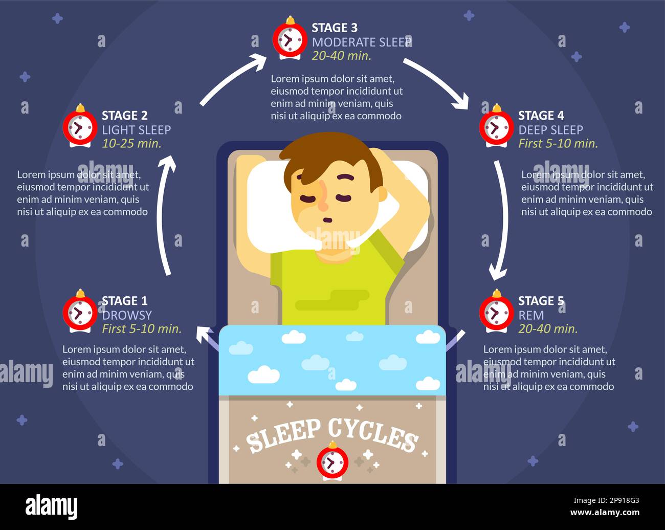 Infografica del ciclo del sonno, diagramma di educazione vettoriale, poster Illustrazione Vettoriale