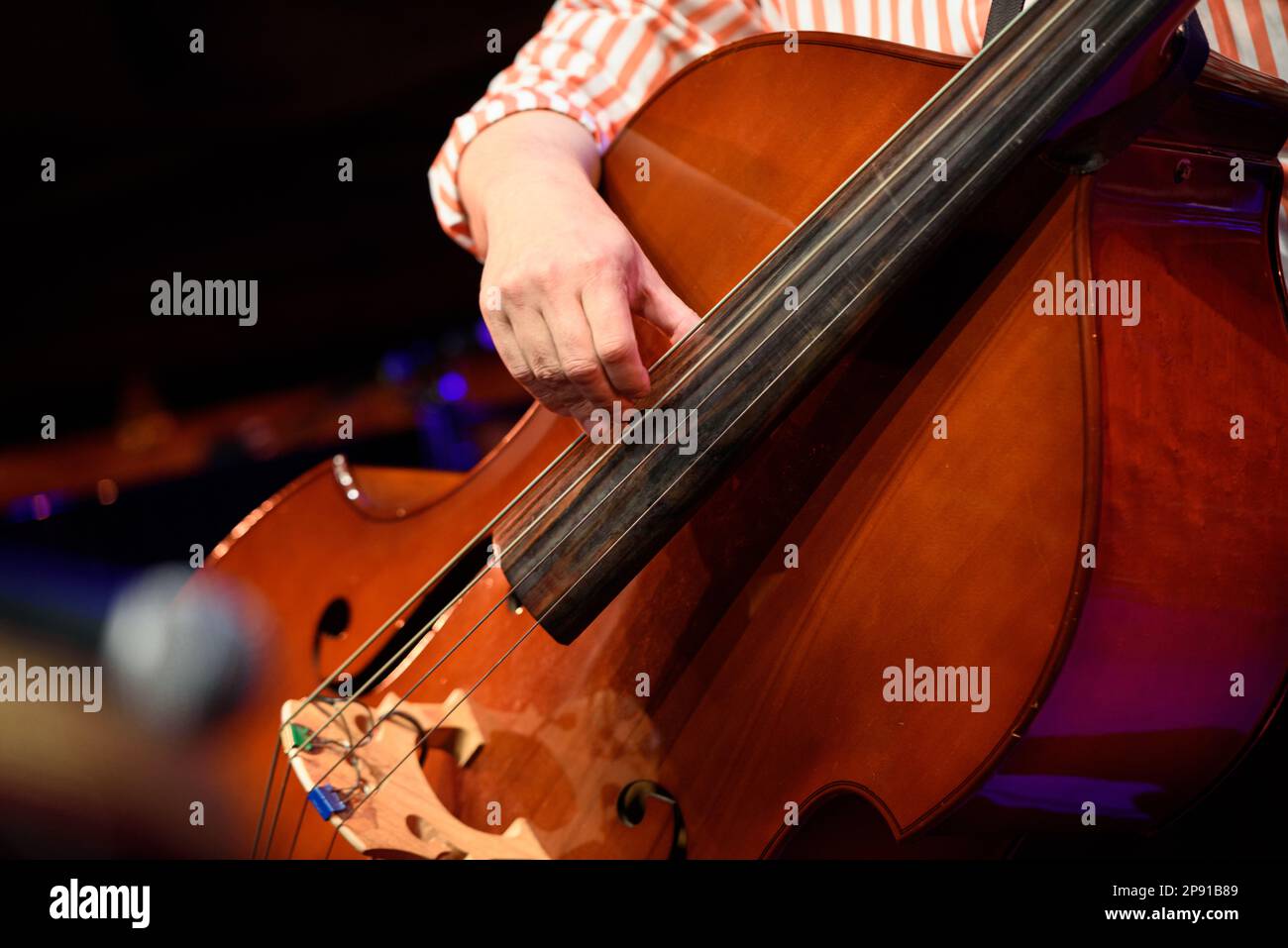Musicista maschio in una camicia a strisce rosse che suona un contrabbasso. Primo piano sulla sua mano. Foto Stock