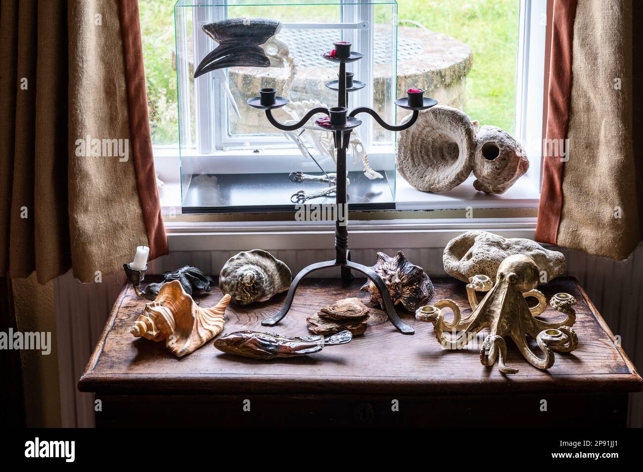 Seashells e candelabro su tavolo in finestra del 16th ° secolo Tudor casa colonica, Suffolk, Regno Unito. Foto Stock