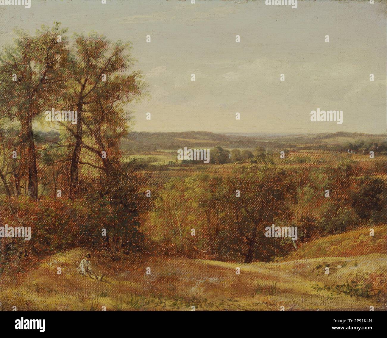 Dedham vale 1802 di John Constable Foto Stock
