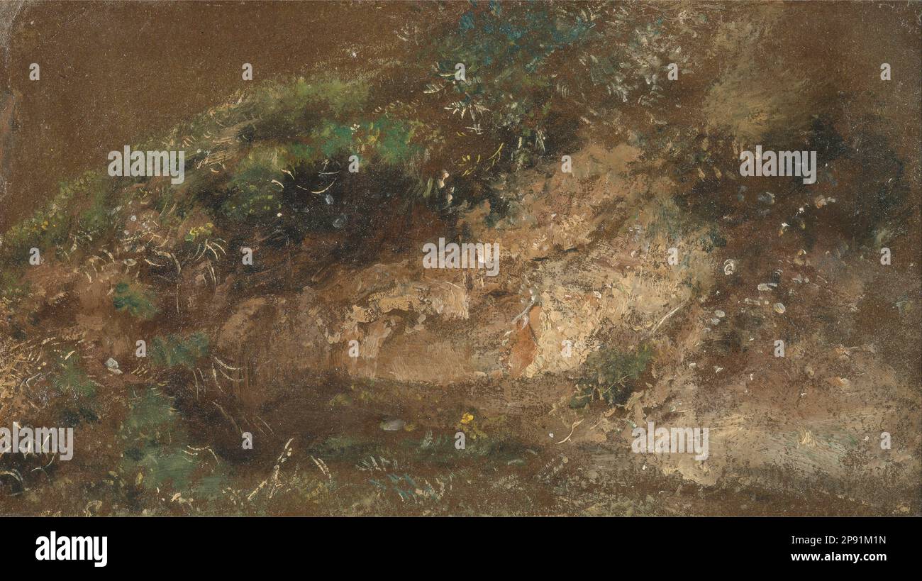 Sottobosco circa 1821 di John Constable Foto Stock