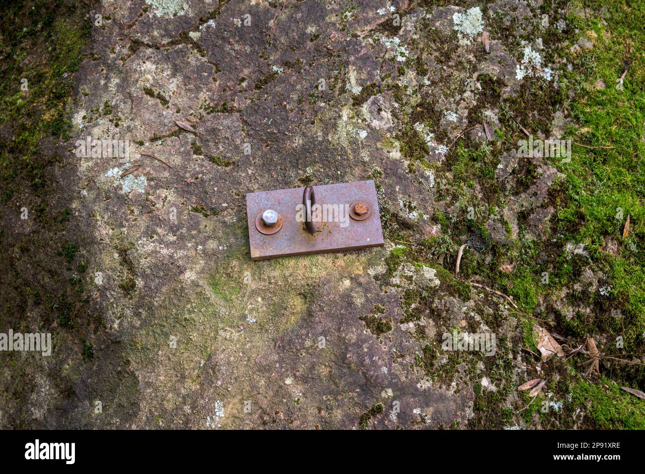 Ancoraggio con doppio attacco per imbracature da arrampicata su roccia con muschio Foto Stock