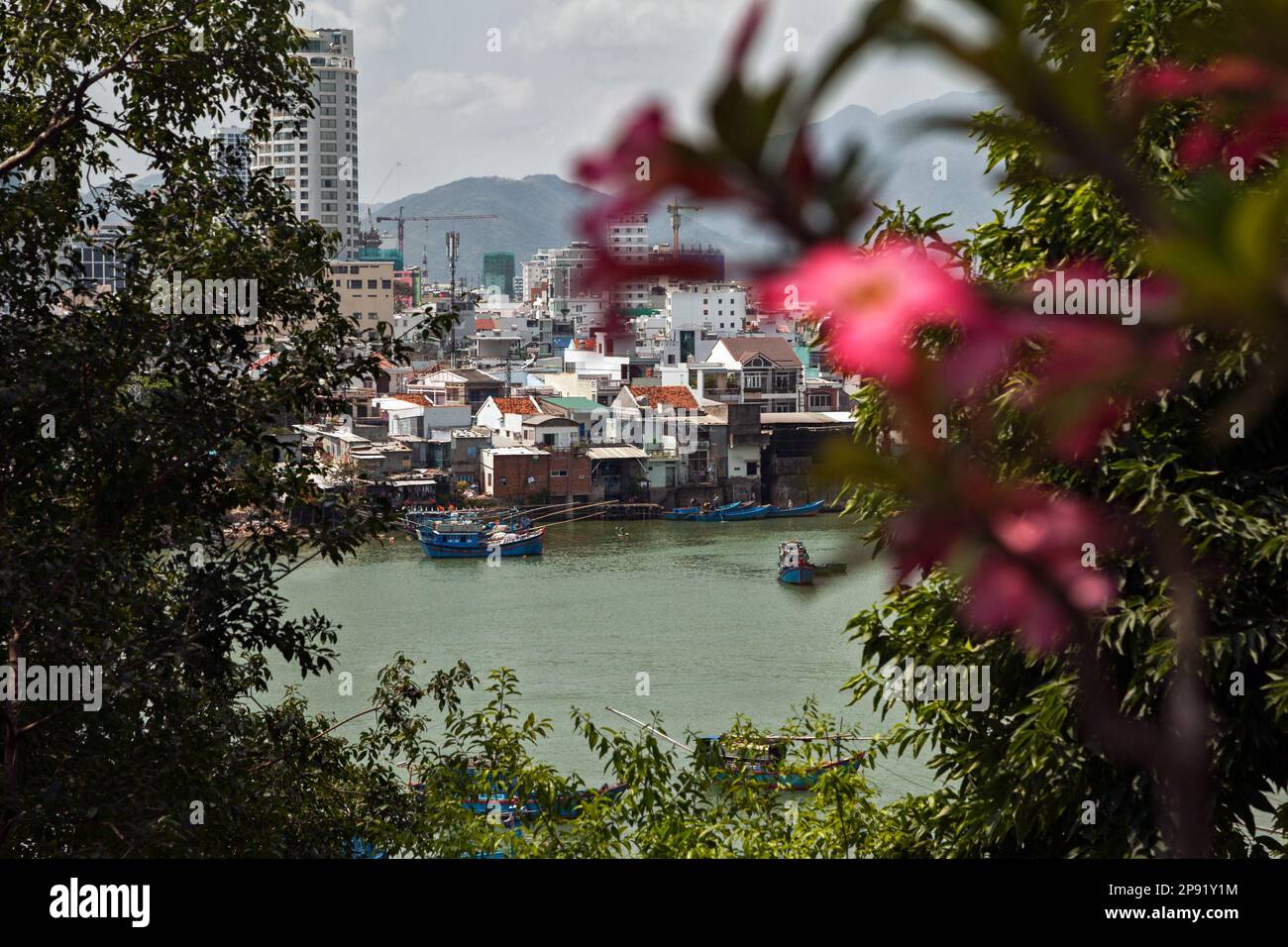 Città vietnamita Nha Trang bellissimo paesaggio. Guardando attraverso il fogliame di fioritura in città asiatiche sulle rive di un fiume Foto Stock