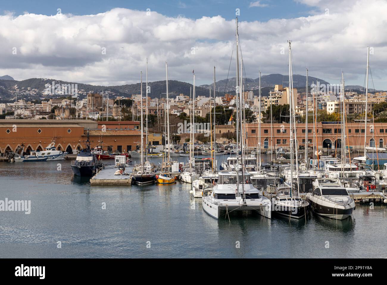 Marina con barche a vela ormeggiate nel porto di Palma di Maiorca, Maiorca, Isole Baleari, Spagna, Europa Foto Stock
