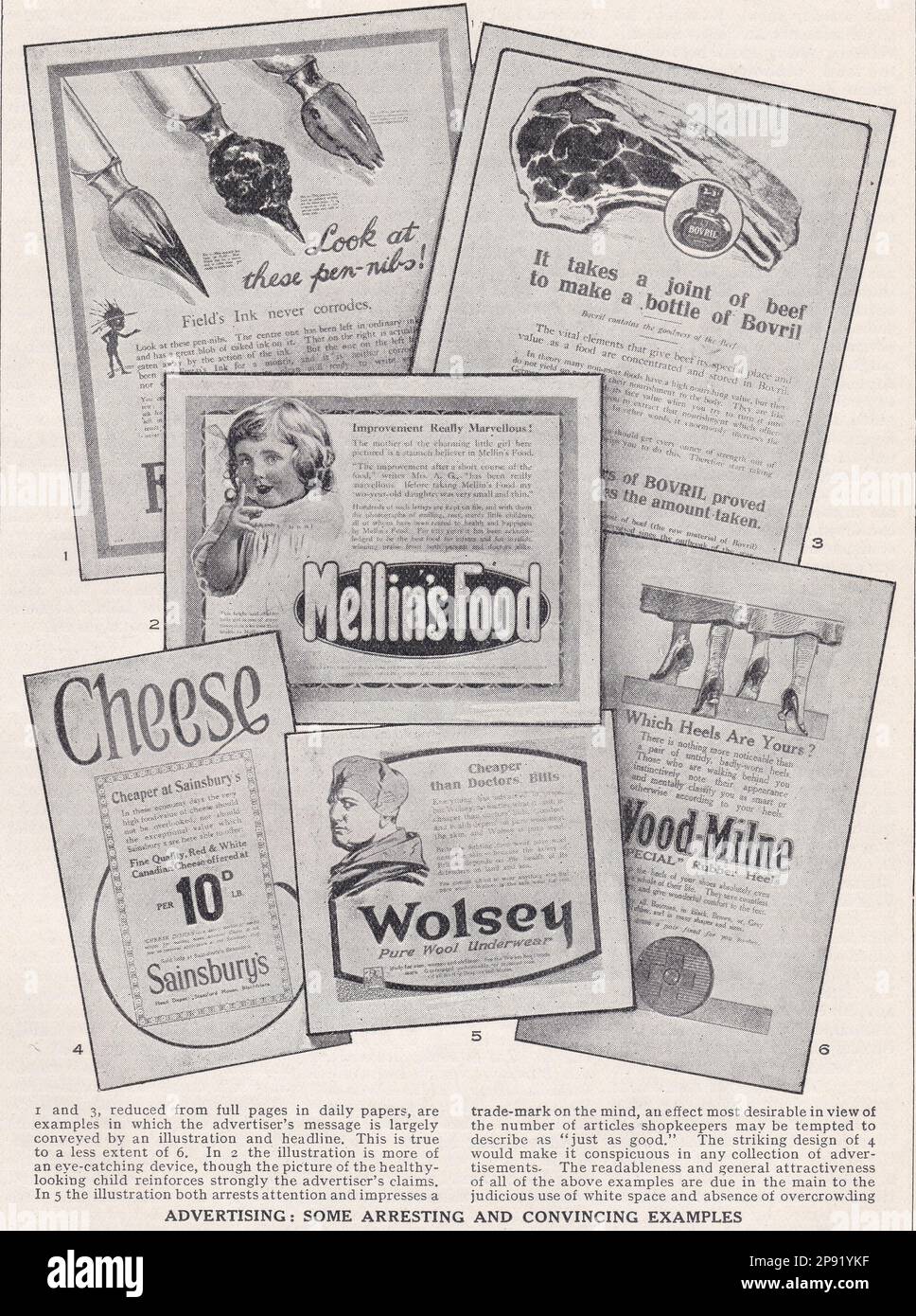 Pubblicità vintage - Wolsey, Sainsbury's, Mellin's Food, Bovril, Wood-Milne e Field's Ink. Foto Stock