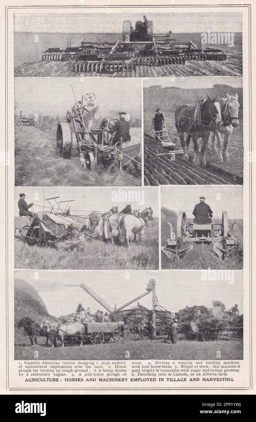 Agricoltura - cavalli e macchinari impiegati nella coltivazione e nella raccolta. Foto Stock
