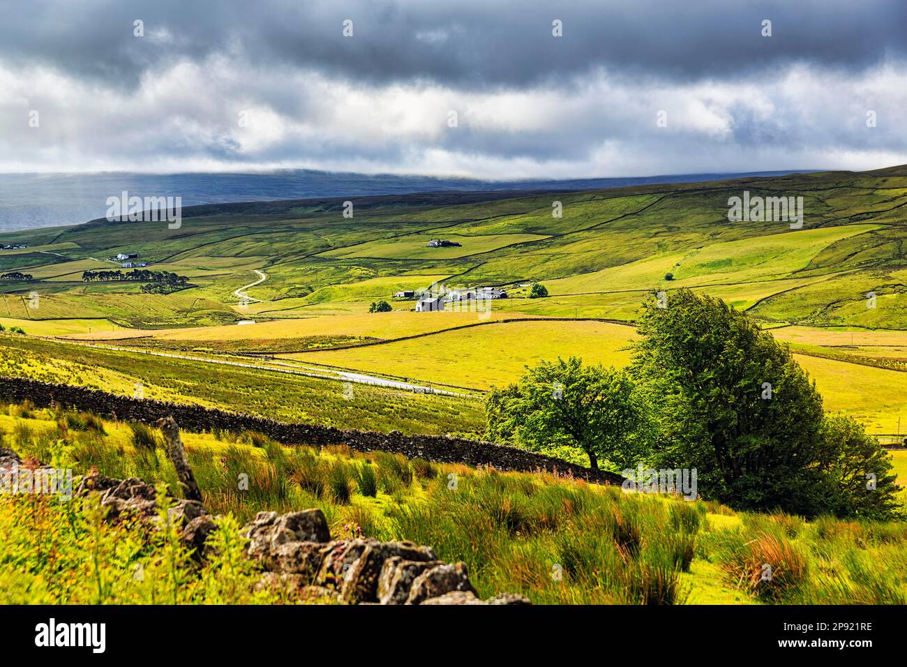 Vista lungo la valle, aperta campagna collinare, scarsamente popolata, Area di straordinaria bellezza naturale AONB, Teesdale, Durham, North Pennines, a nord di Foto Stock