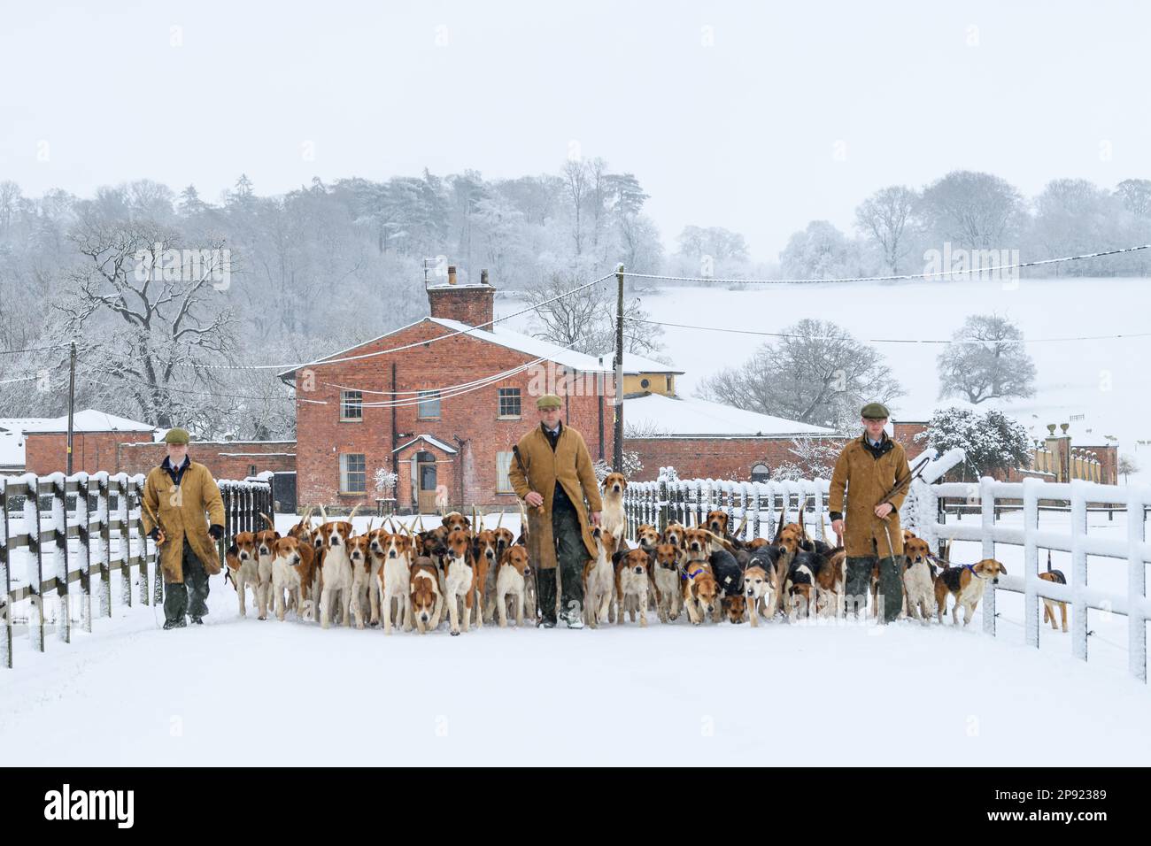 Il Belvoir Hunt Hounds esercizio nella neve, Venerdì 10 Marzo 2023 © 2023 Nico Morgan. Tutti i diritti riservati Foto Stock