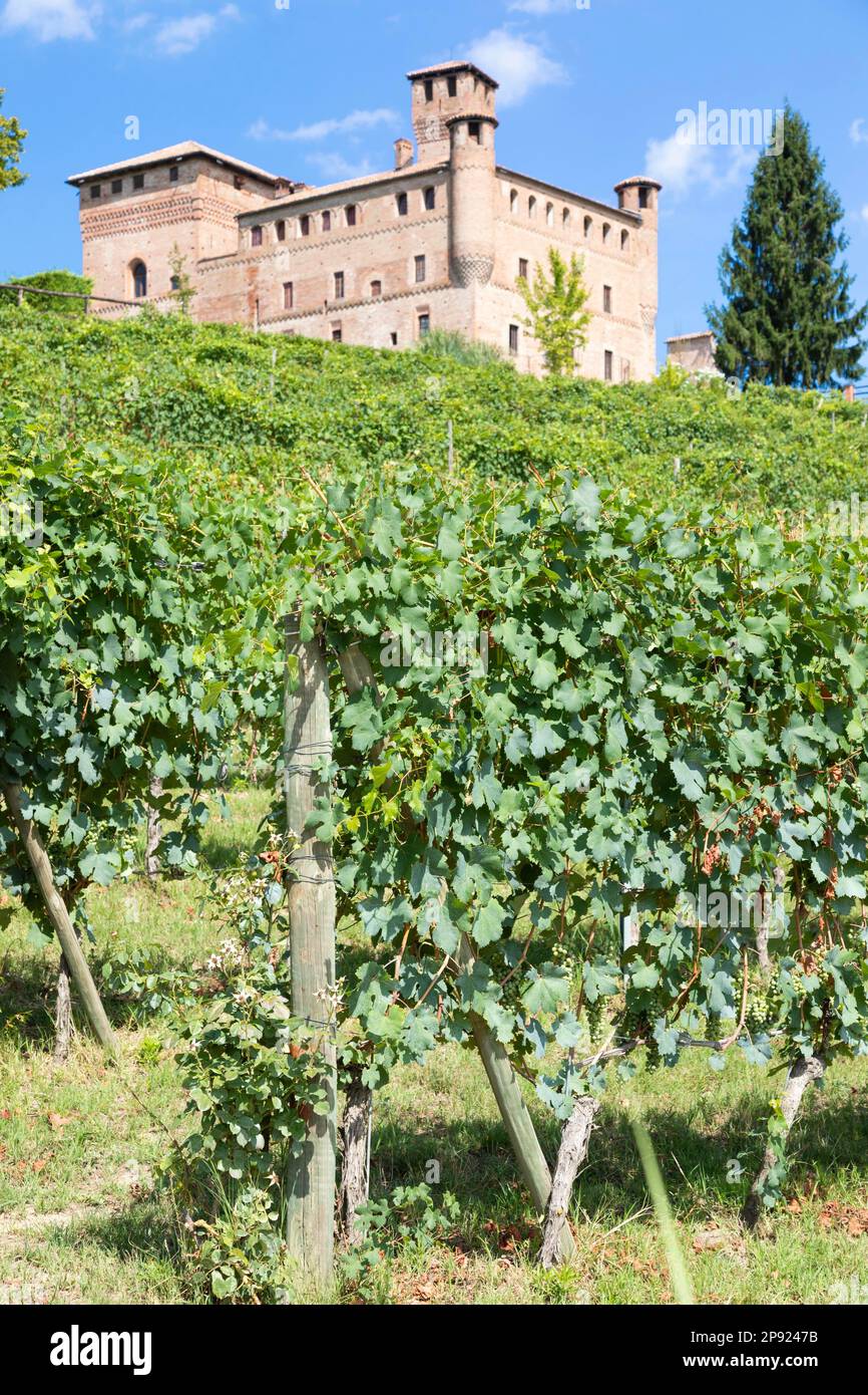 Vigneto in Piemonte, Italia, con il castello di Grinzane Cavour sullo sfondo. Le Langhe è il comprensorio del vino Barolo Foto Stock