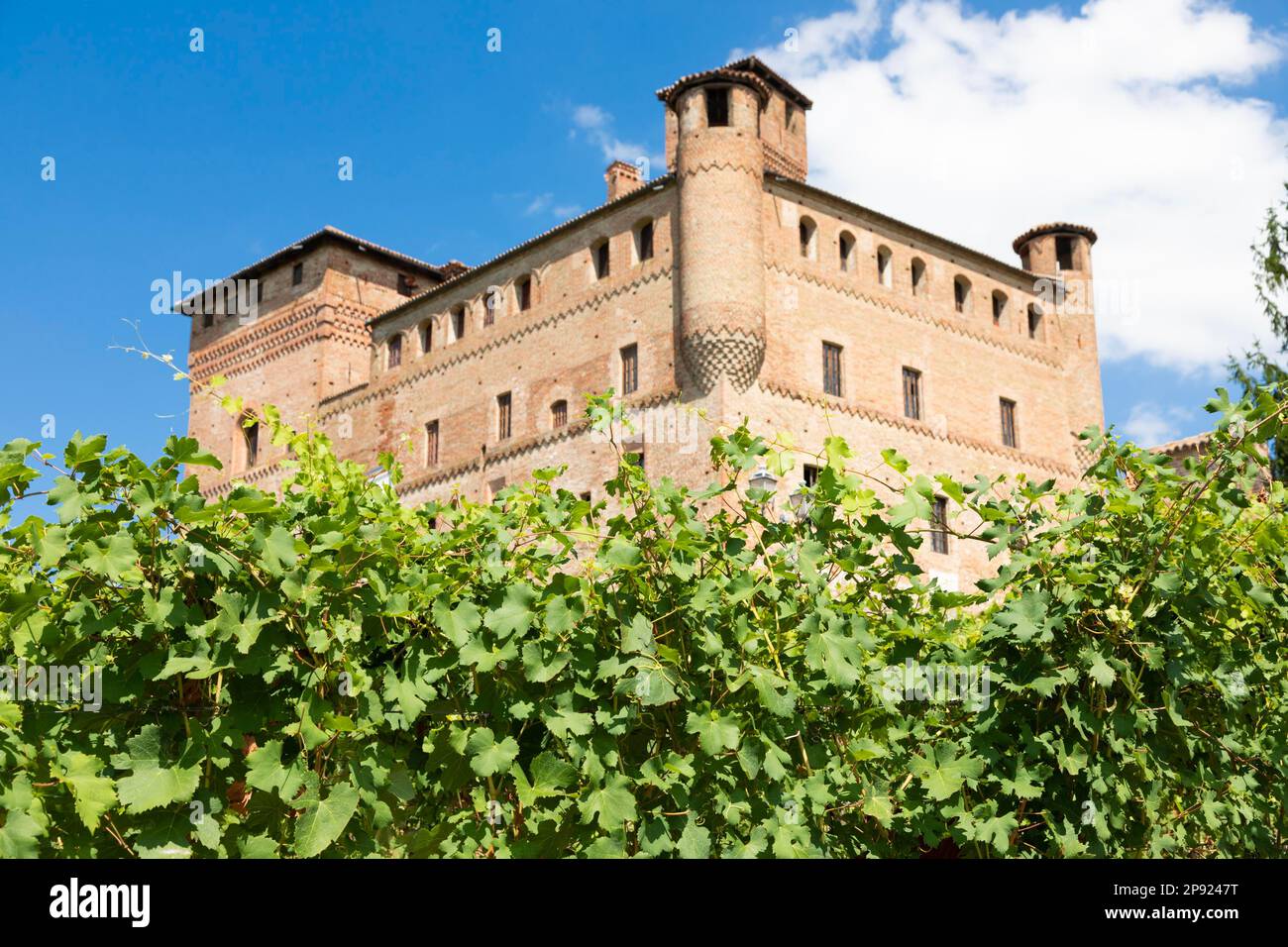 Vigneto in Piemonte, Italia, con il castello di Grinzane Cavour sullo sfondo. Le Langhe è il comprensorio del vino Barolo Foto Stock