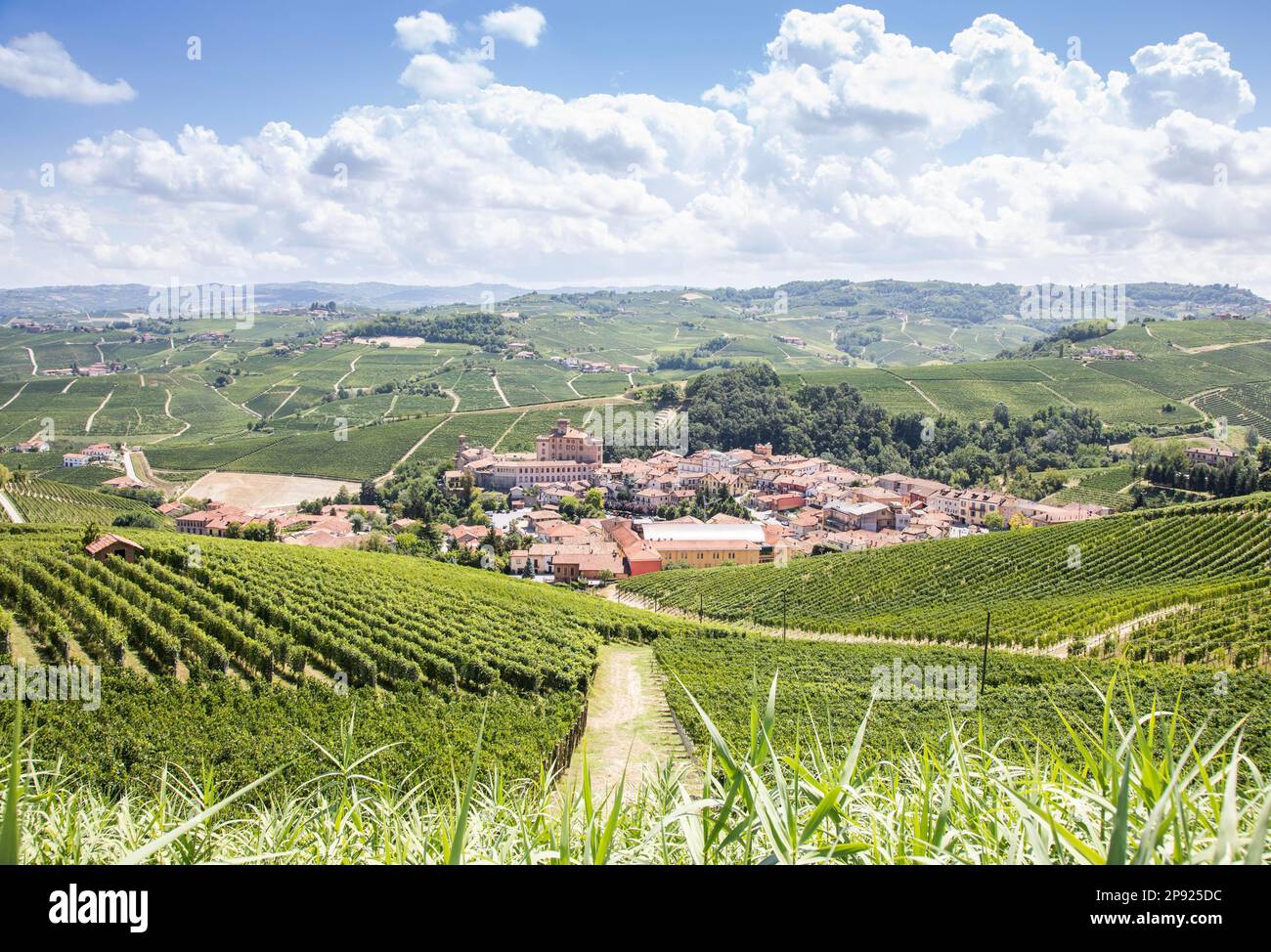 Campagna panoramica in Piemonte, Italia. Panoramica collina dei vigneti con il famoso Castello di Barolo e la città Foto Stock