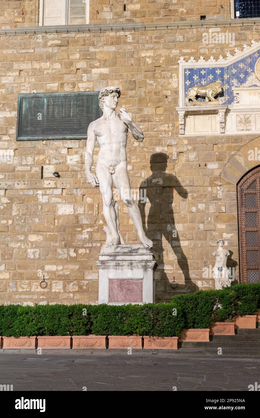 David di Michelangelo Buonarroti a Firenze. Famoso capolavoro maschile perfezione Foto Stock