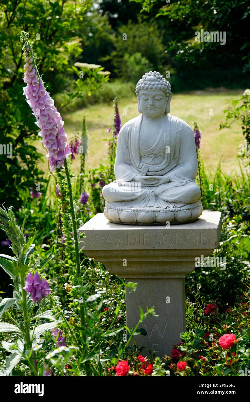 Digitale minore rosso (Digitalis purpurea) e scultura di Buddha Foto Stock