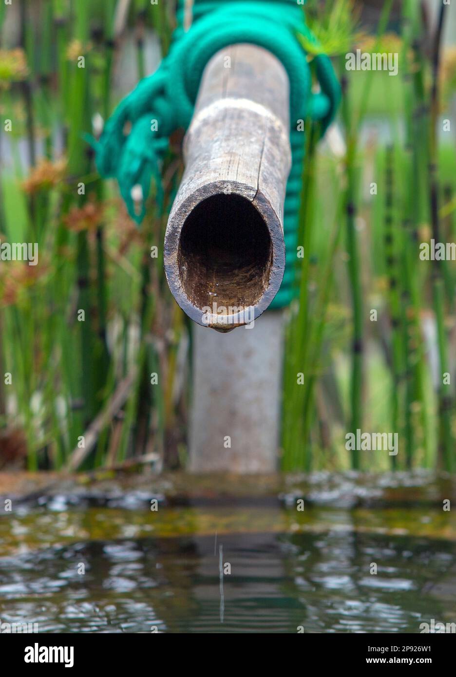 fontana con canna di bambù in stile giapponese Foto Stock