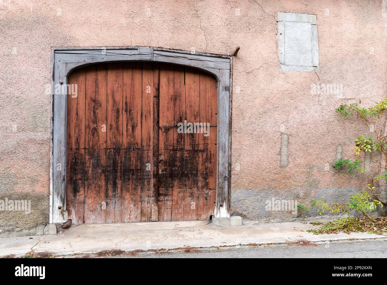 Grande porta di legno vintage garage o cancello in una storica casa di fronte rosa con vegetazione invasiva sul lato del villaggio idilliaco di Neunkirch in Foto Stock