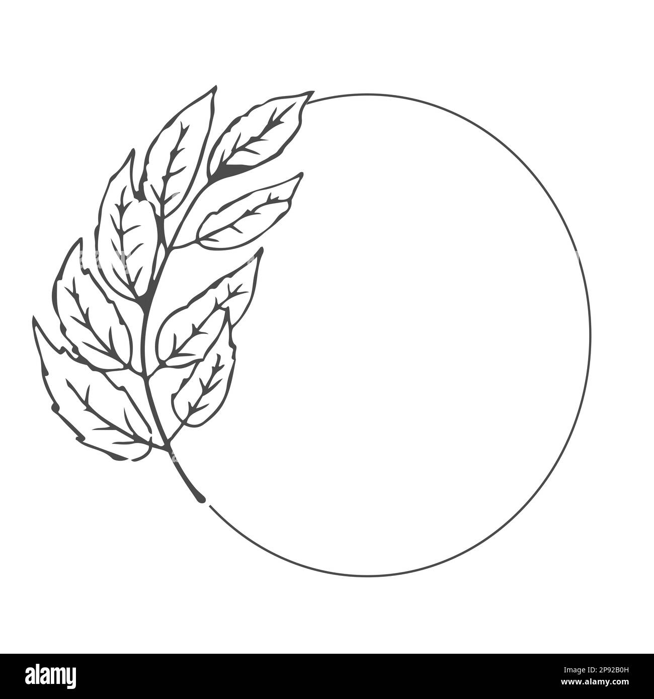 elegante cornice circolare elegante e floreale bohémien con foglie in stile doodle isolate su sfondo bianco. Illustrazione vettoriale Illustrazione Vettoriale elegante cornice circolare elegante e floreale bohémien con foglie in stile doodle isolate su sfondo bianco. Illustrazione vettoriale Illustrazione Vettoriale