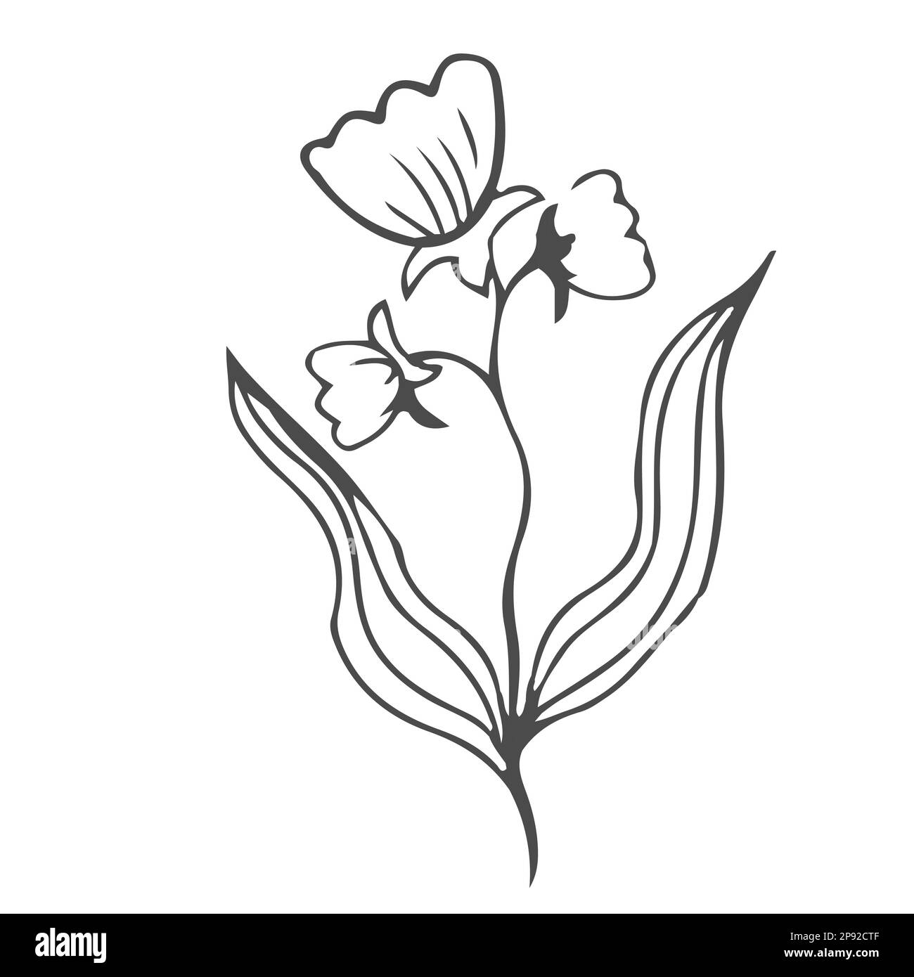 Doodle foglie disegnate a mano, fogliame, bella pianta estetica elegante isolato su sfondo bianco. Bordo, elemento di progettazione, disegno di schizzo. Illustrazione vettoriale Illustrazione Vettoriale