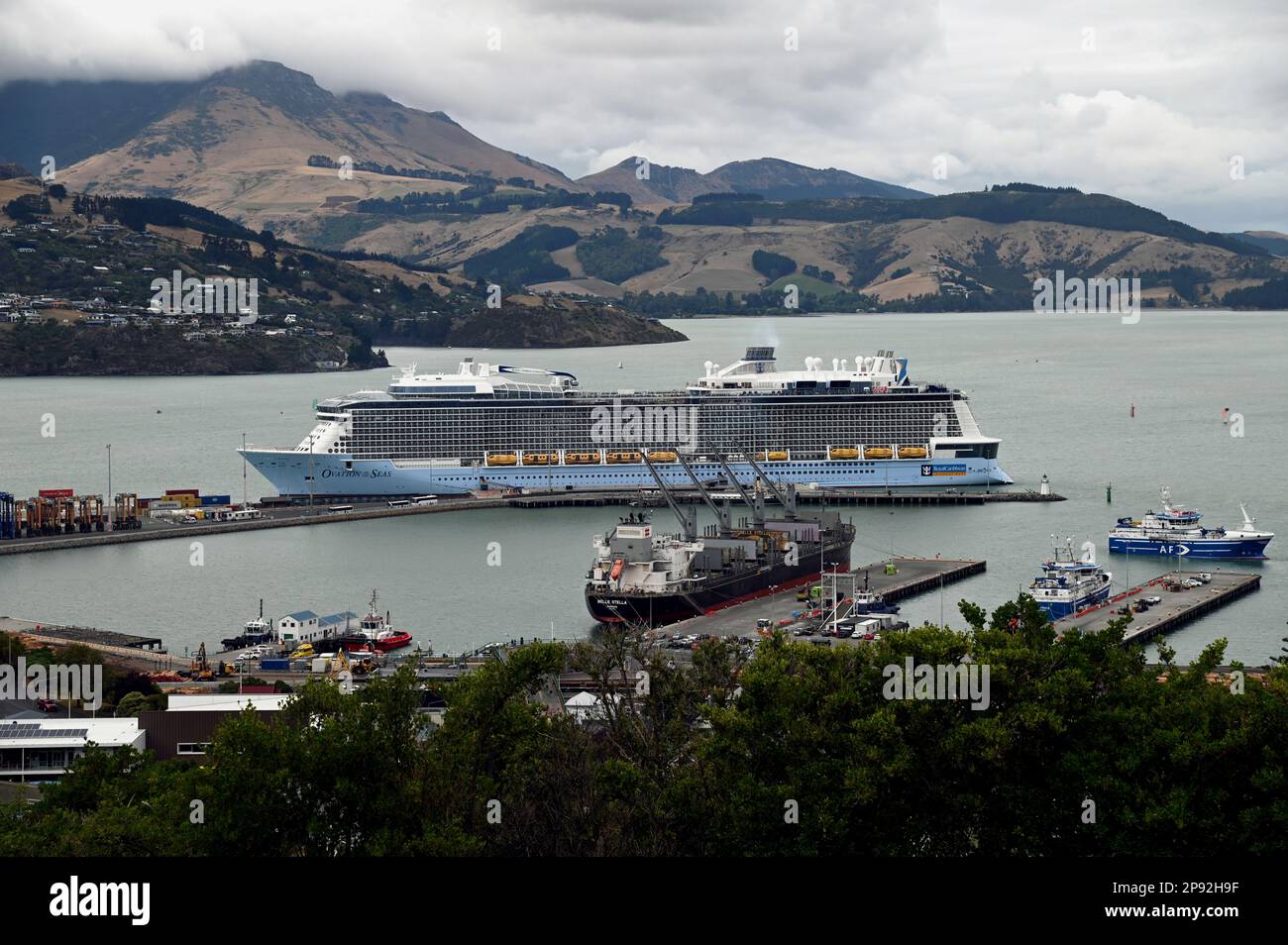 La nave da crociera 'Ovation of the Seas' ormeggiata nel Porto di Lyttelton, un porto sulla Penisola di Banks sull'isola meridionale di New Zealands. Foto Stock