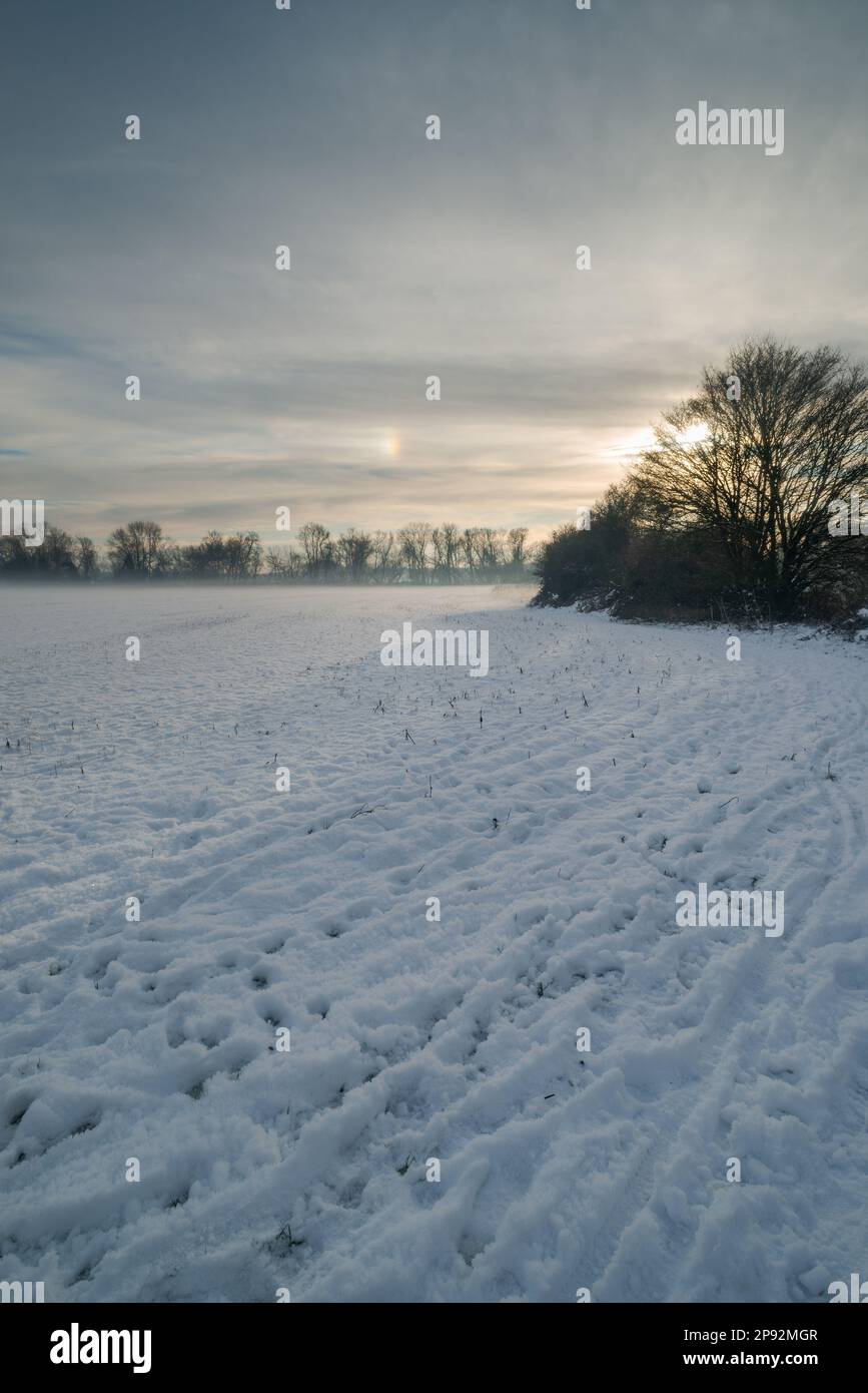 Cane sole o Parhelia causato da strato di cose di nuvole di cirrus con cristallo di ghiaccio che compongono le nuvole che splittano la luce come un prisma sulla neve d'inverno Foto Stock