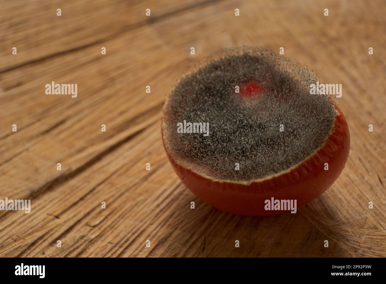 Tagliare il pomodoro rosso infettato da muffa di spore e masse di spore come un esempio di spreco di cibo su un piatto di servizio di legno tagliato Foto Stock