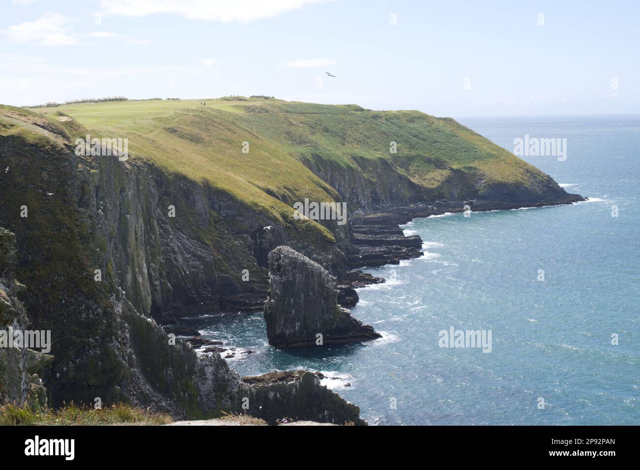 Vecchio responsabile di Kinsale EIRE Foto Stock