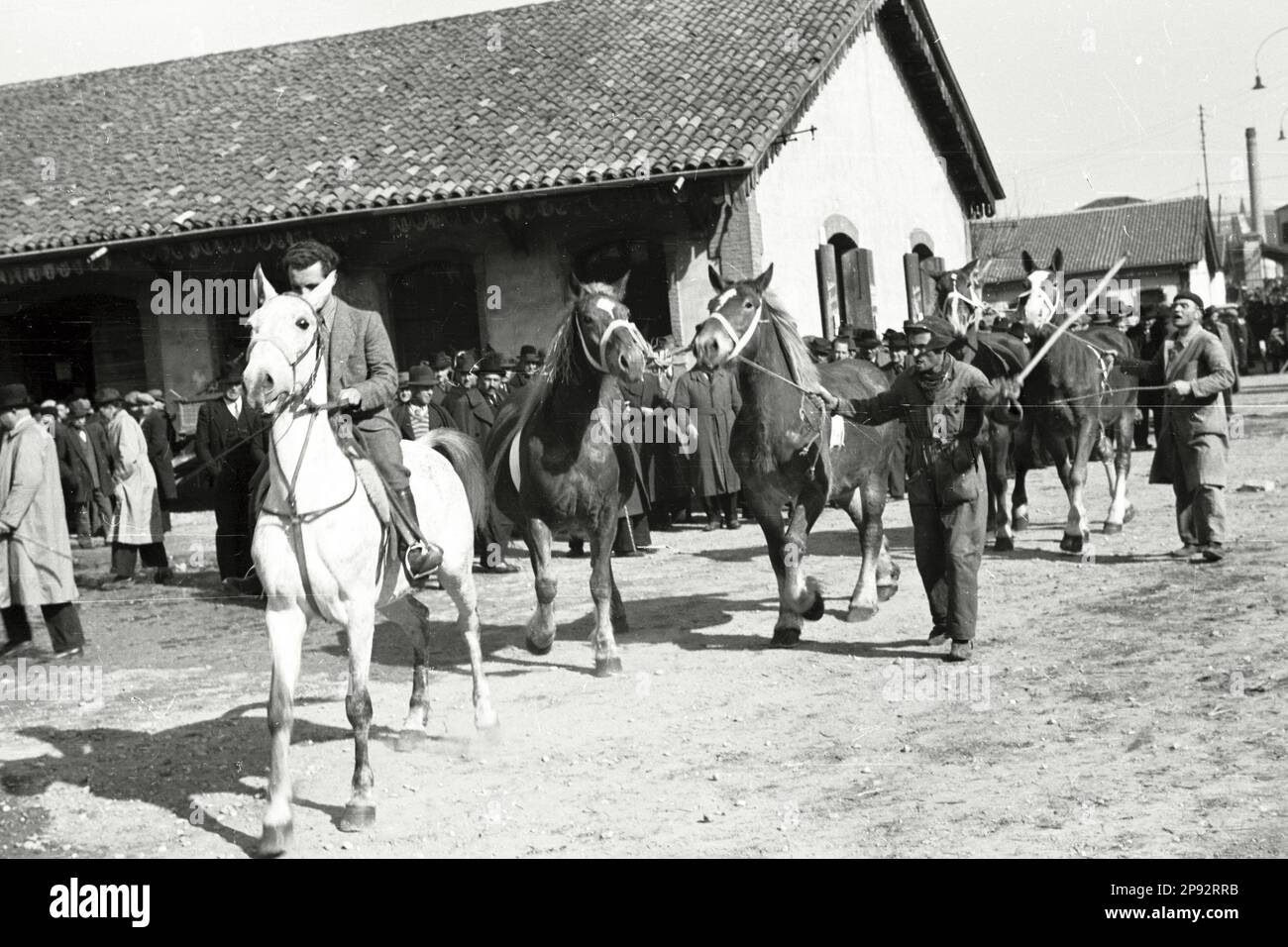 Verona - Fiera cavalli 1939 Foto Stock