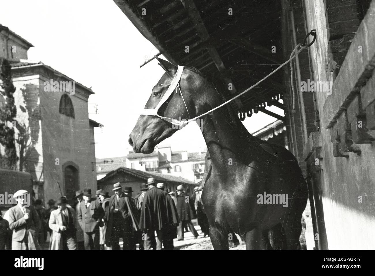 Verona - Fiera cavalli 1939 Foto Stock