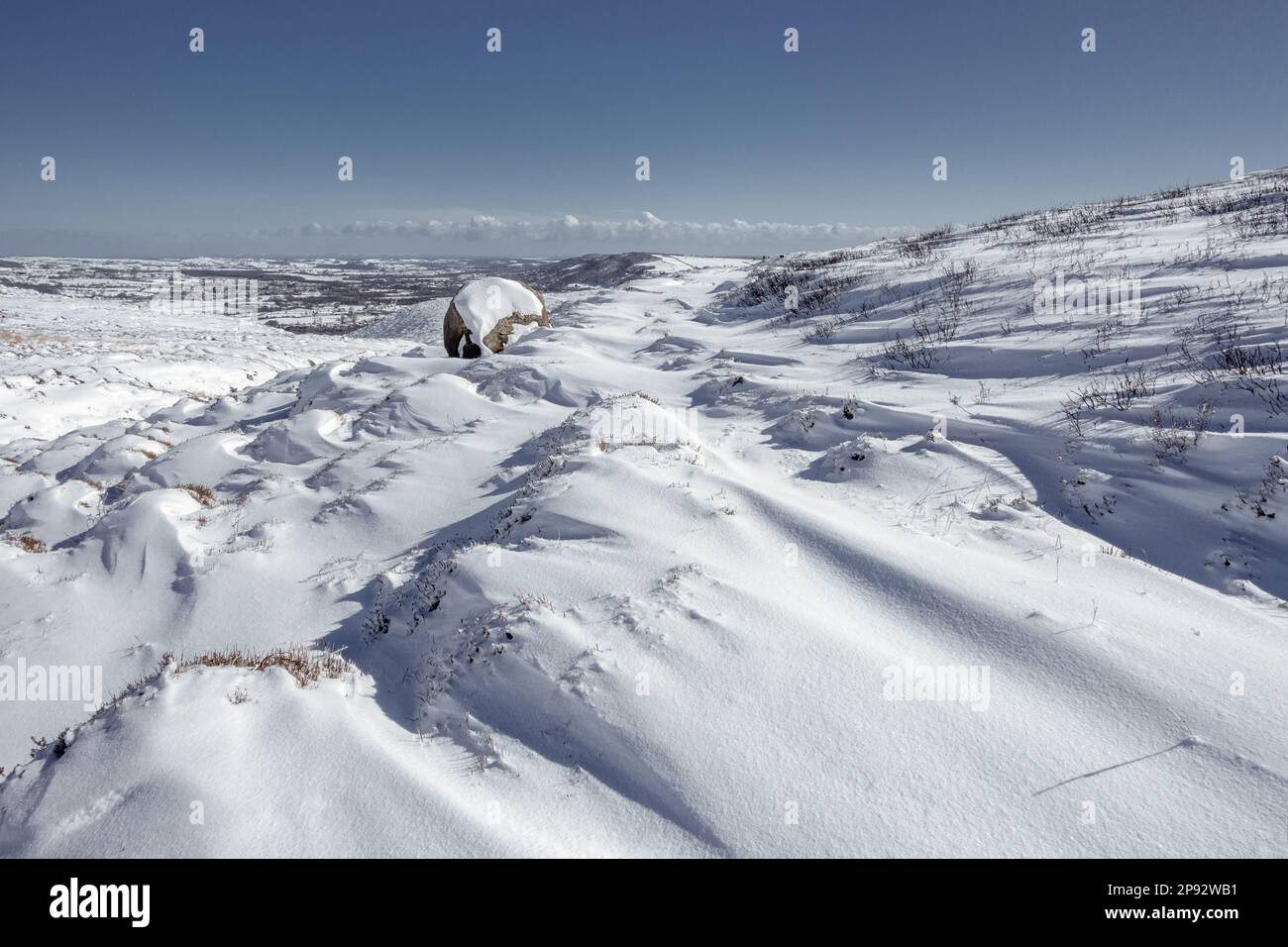 Meteo UK - 10 marzo 2023 - Walker gode Burley Moor coperto da uno spesso strato di neve. West Yorkshire, Inghilterra, Regno Unito. Credit: Rebecca Cole/Alamy Live News Foto Stock