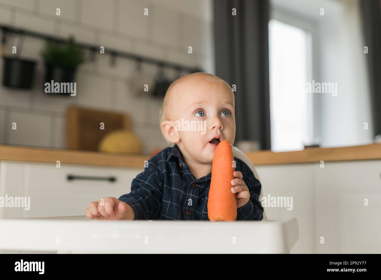 Felice bambino seduto in seggiolone mangiare carota in cucina. Nutrizione sana per i bambini. BIO carota come primo alimento solido per l'infante. I bambini mangiano Foto Stock