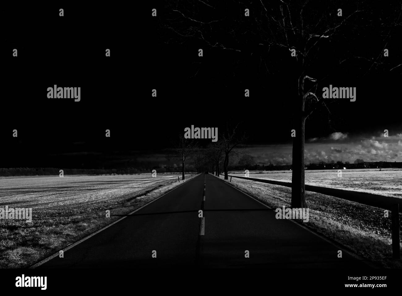 Strada in inverno, cielo nero, fotografia in bianco e nero Foto Stock