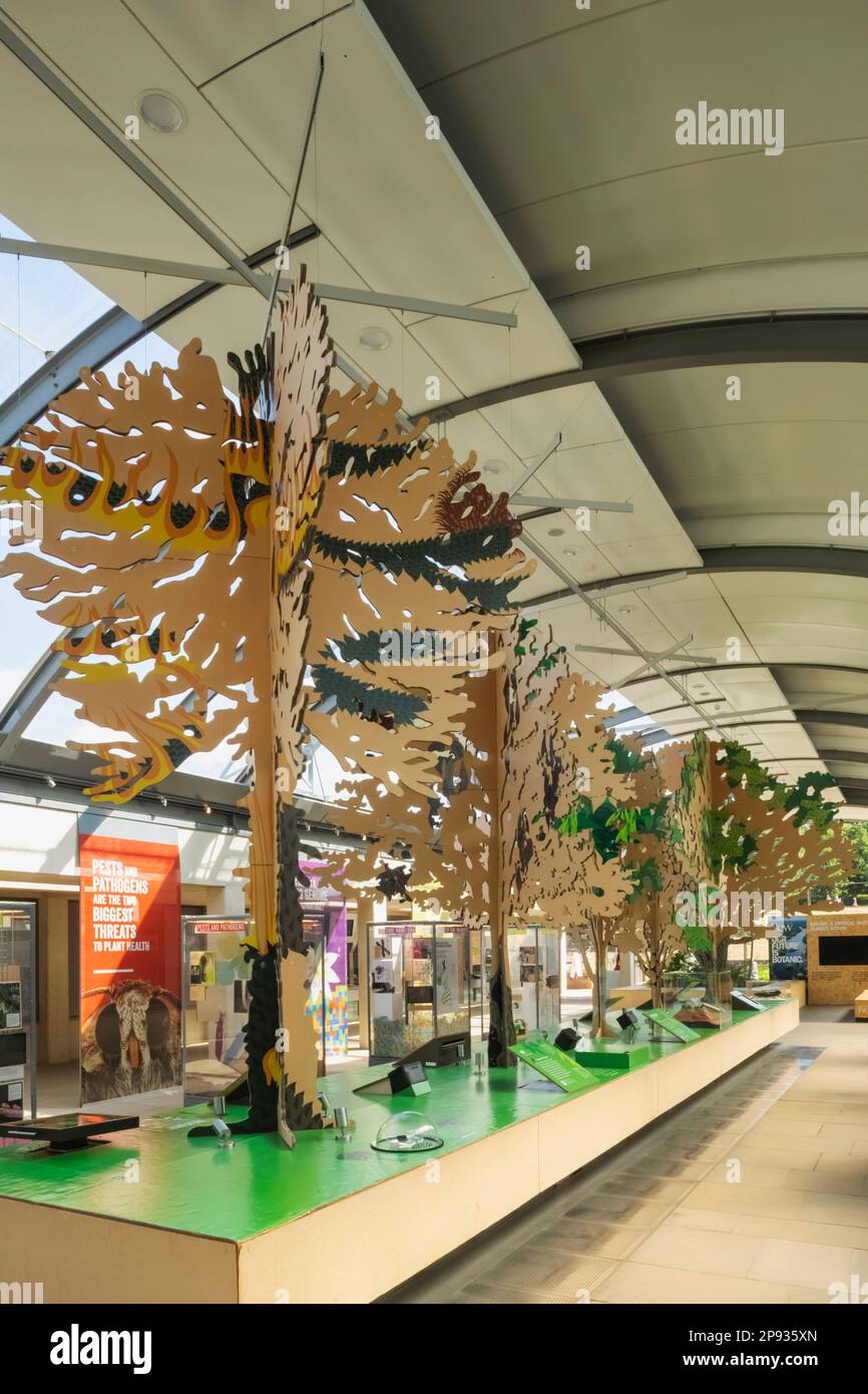 Inghilterra, West Sussex, Wakehurst, Millennium Seed Bank, Atrium Exhibition Space Foto Stock