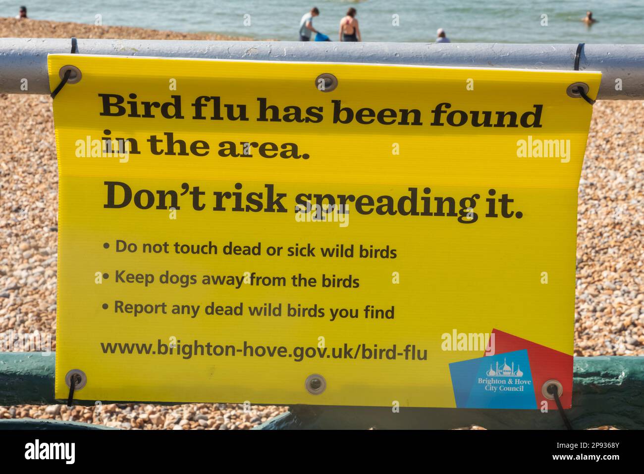 Inghilterra, East Sussex, Brighton, Brighton Beach, Bird Flu segnale di avvertimento Foto Stock Inghilterra, East Sussex, Brighton, Brighton Beach, Bird Flu segnale di avvertimento Foto Stock