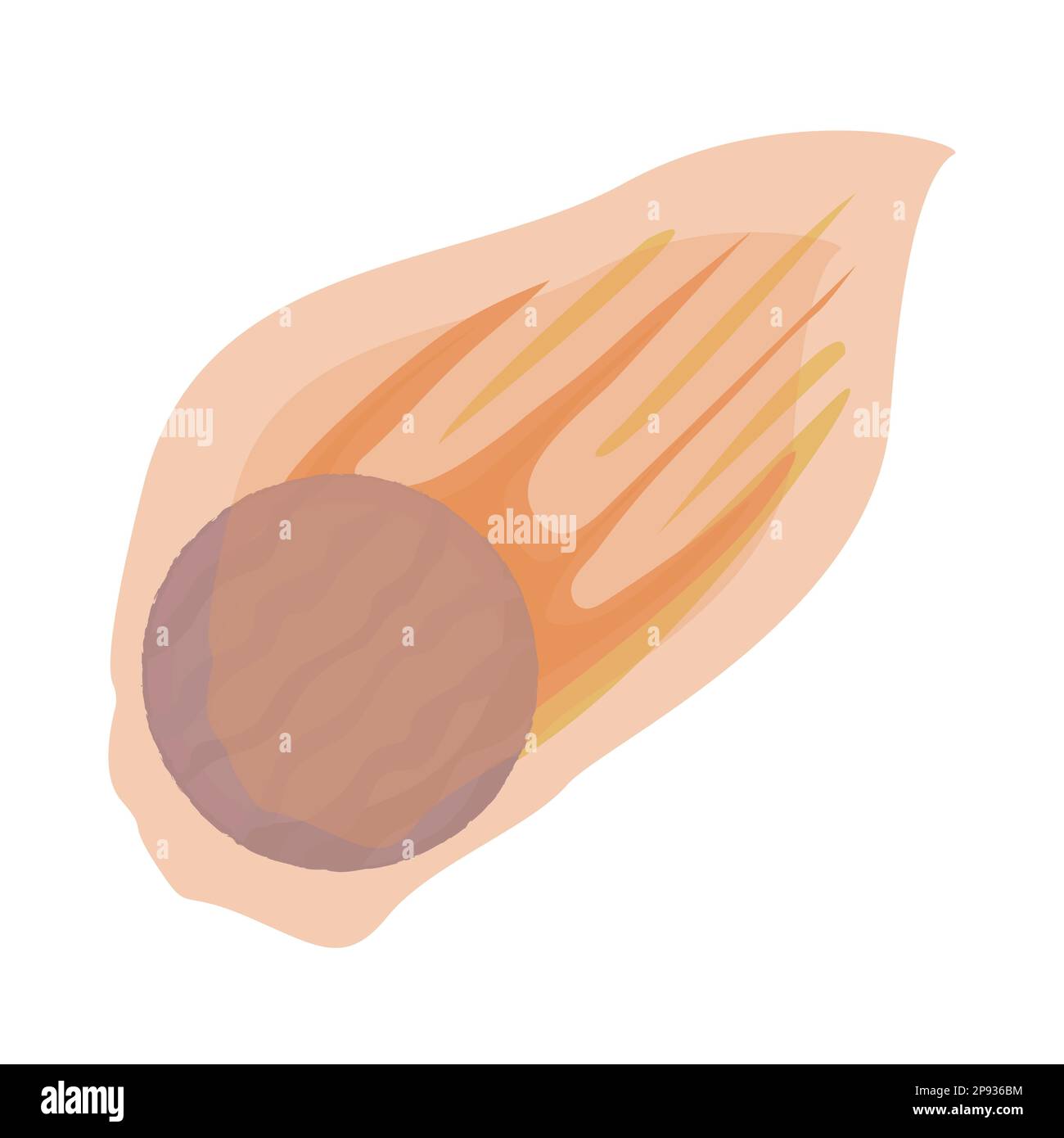 Cometa, illustrazione nei colori blu e arancione Illustrazione Vettoriale