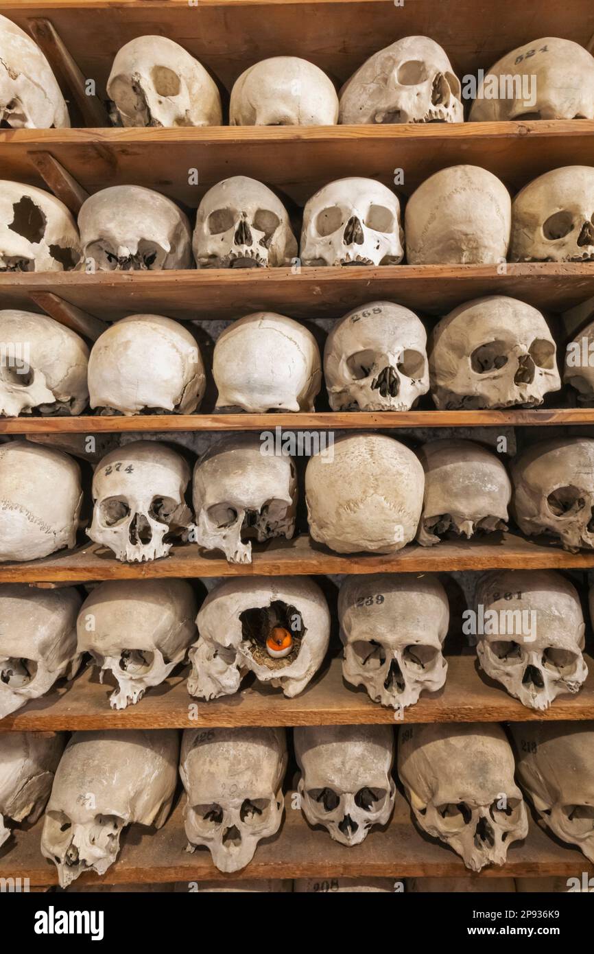 Inghilterra, Kent, Hythe, St.Leonard's Church, ossa umane nella cripta Foto Stock