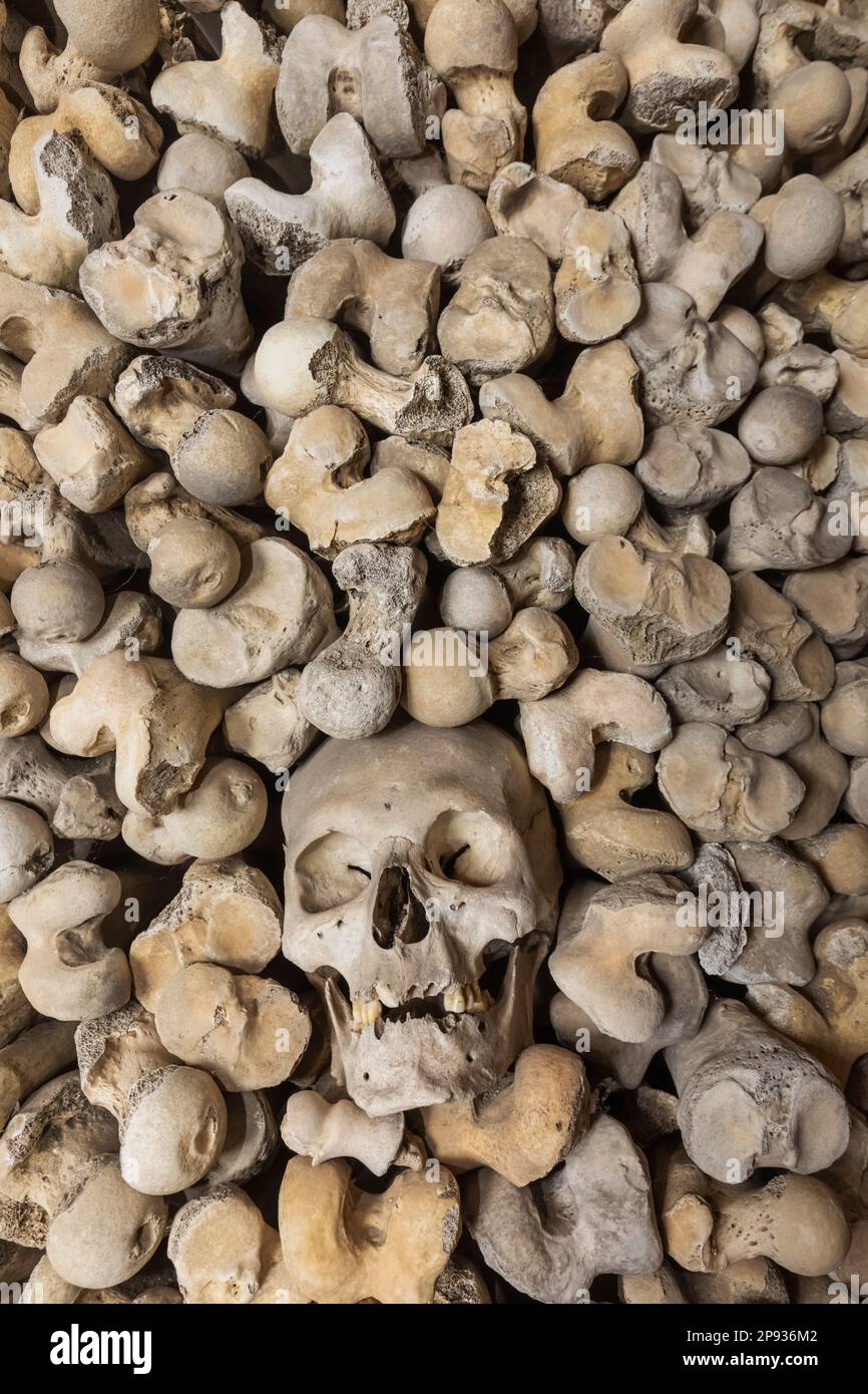 Inghilterra, Kent, Hythe, St.Leonard's Church, ossa umane nella cripta Foto Stock