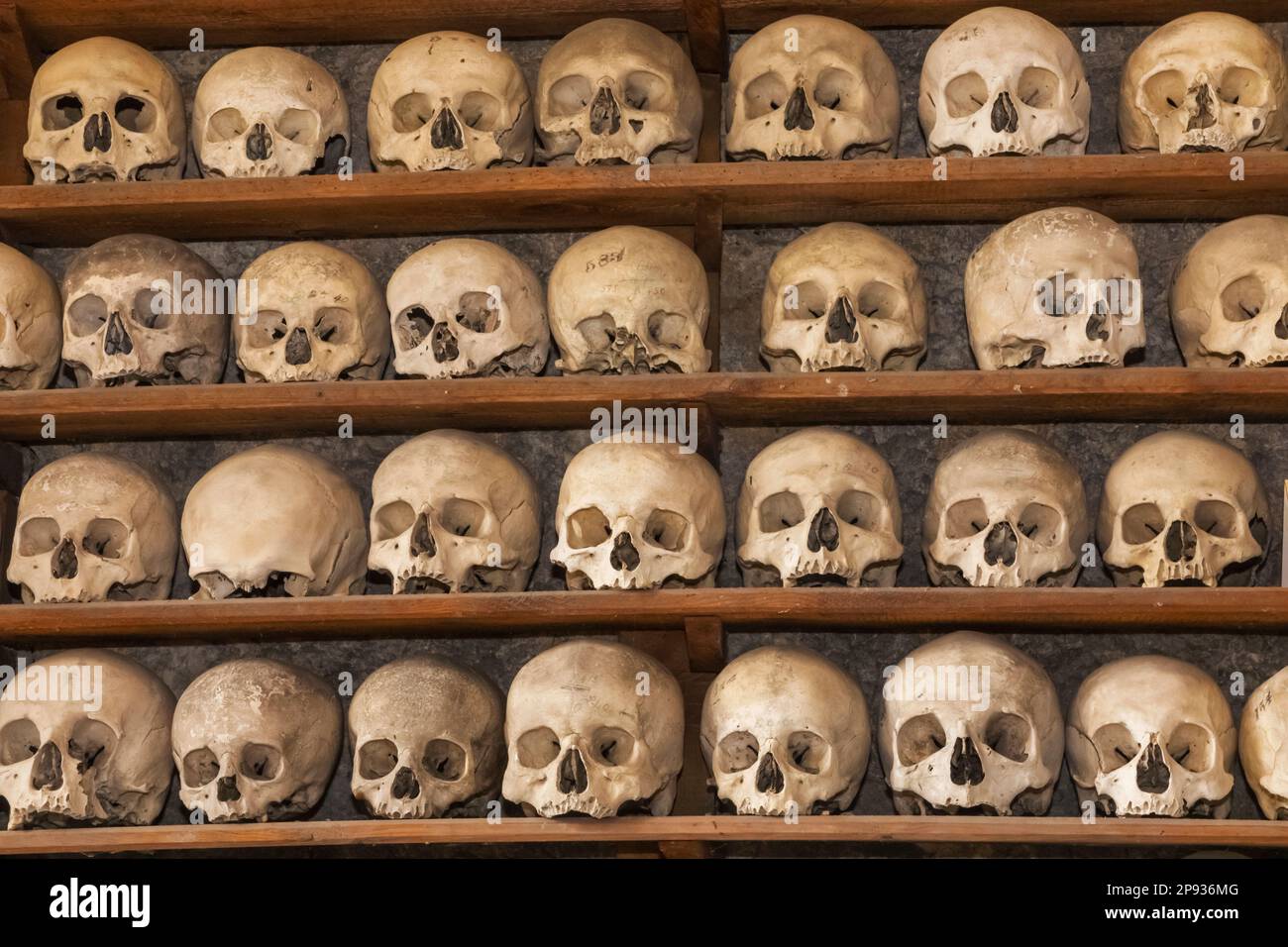 Inghilterra, Kent, Hythe, St.Leonard's Church, ossa umane nella cripta Foto Stock