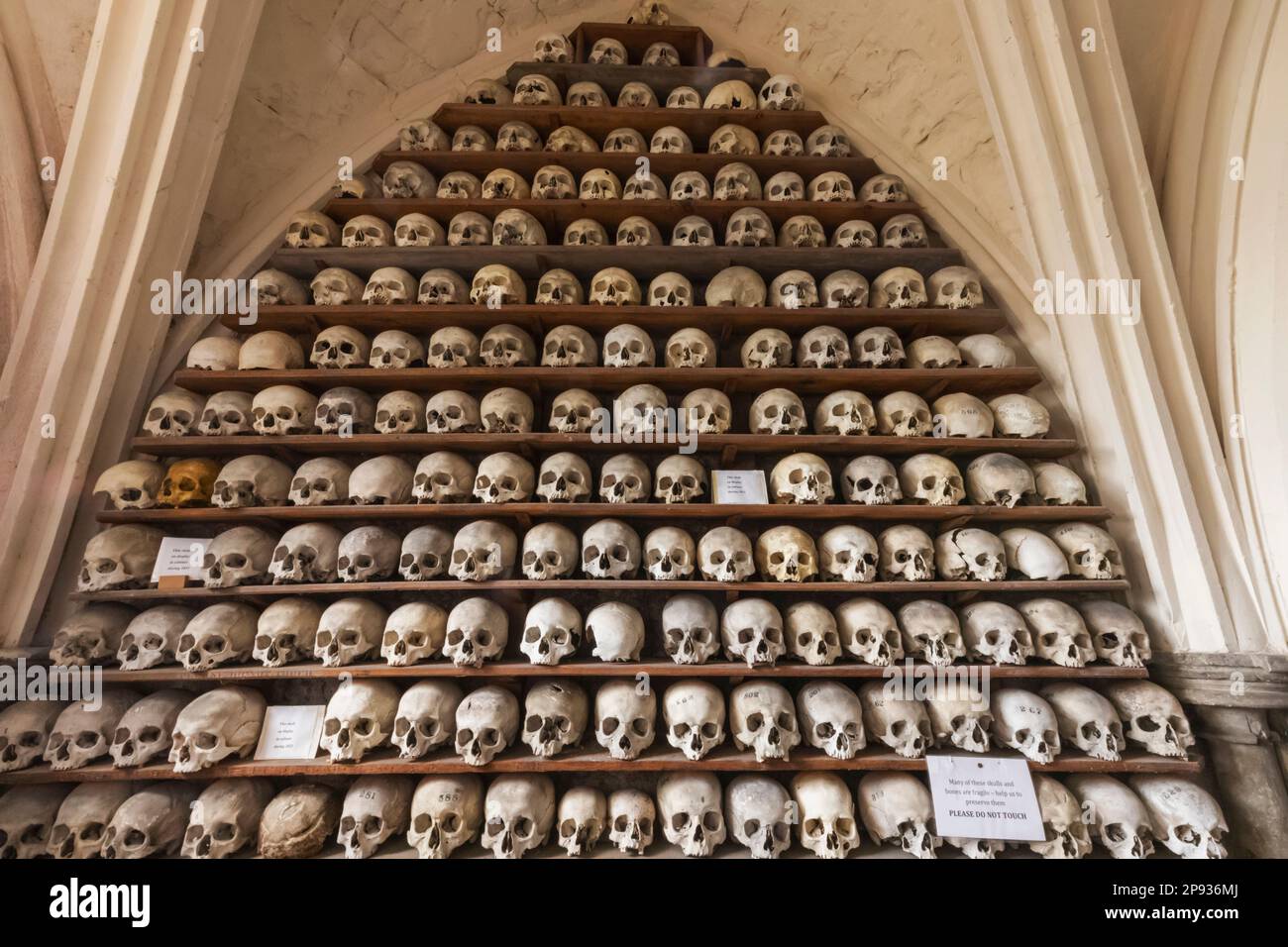 Inghilterra, Kent, Hythe, St.Leonard's Church, ossa umane nella cripta Foto Stock