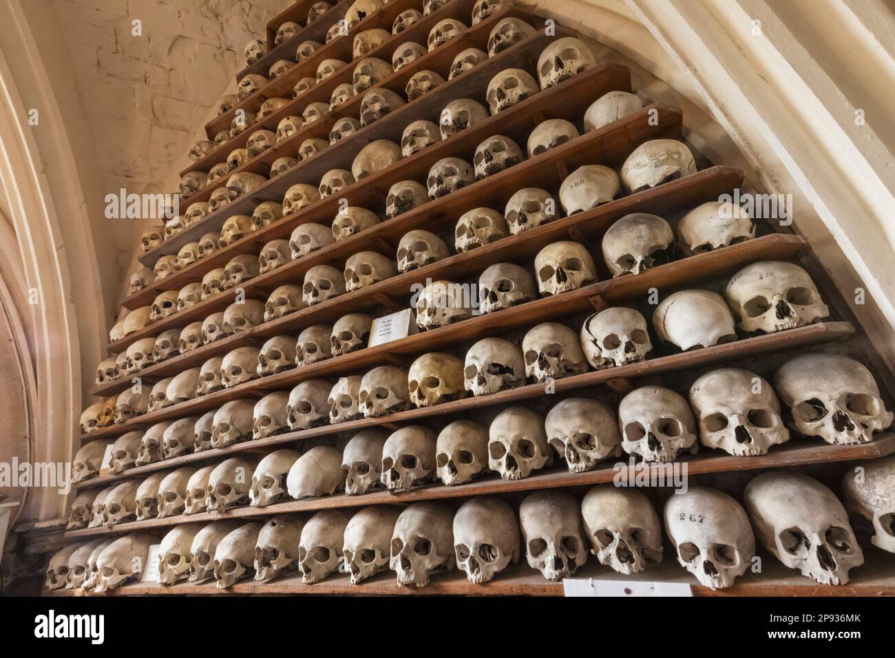 Inghilterra, Kent, Hythe, St.Leonard's Church, ossa umane nella cripta Foto Stock