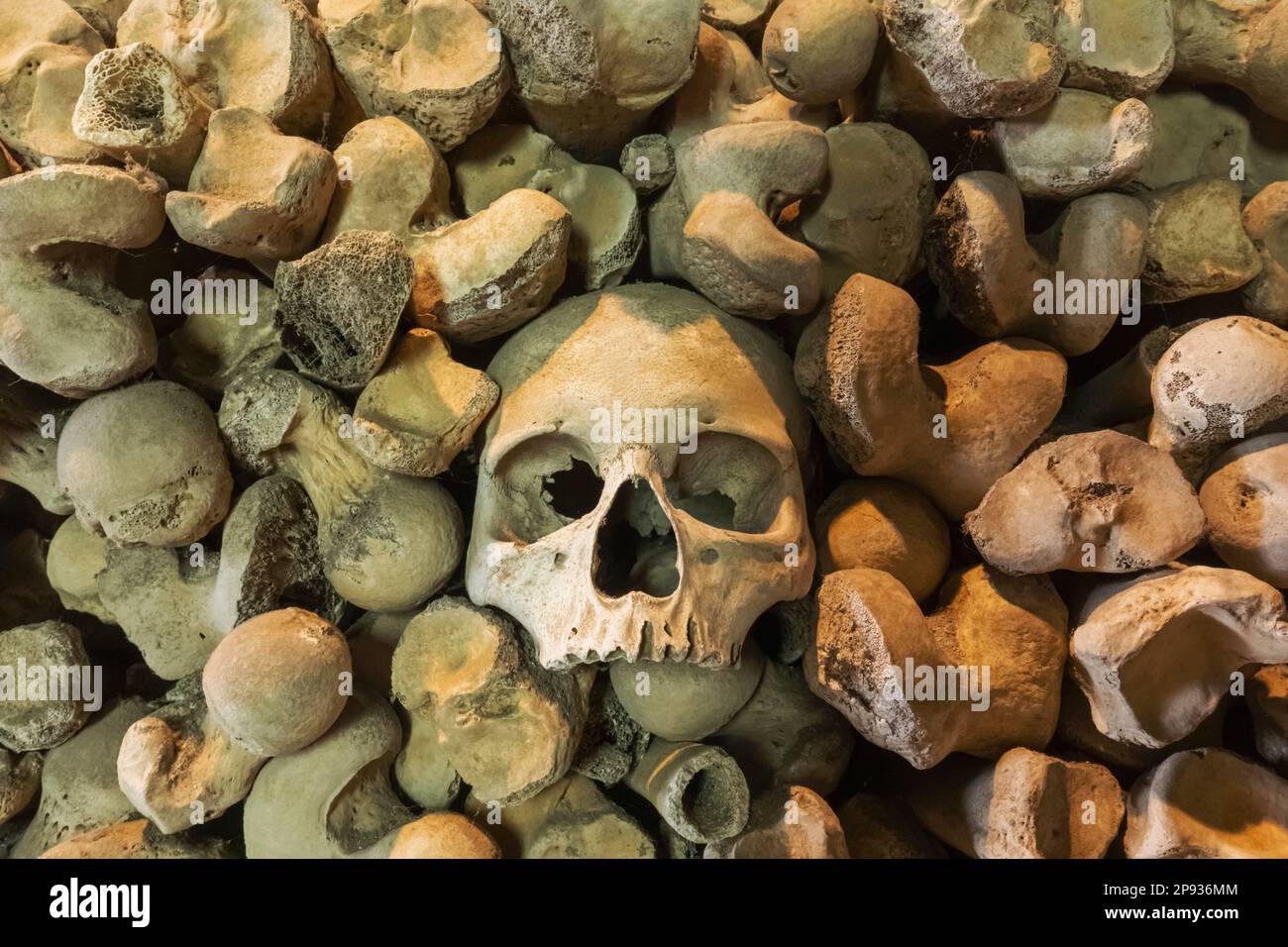 Inghilterra, Kent, Hythe, St.Leonard's Church, ossa umane nella cripta Foto Stock