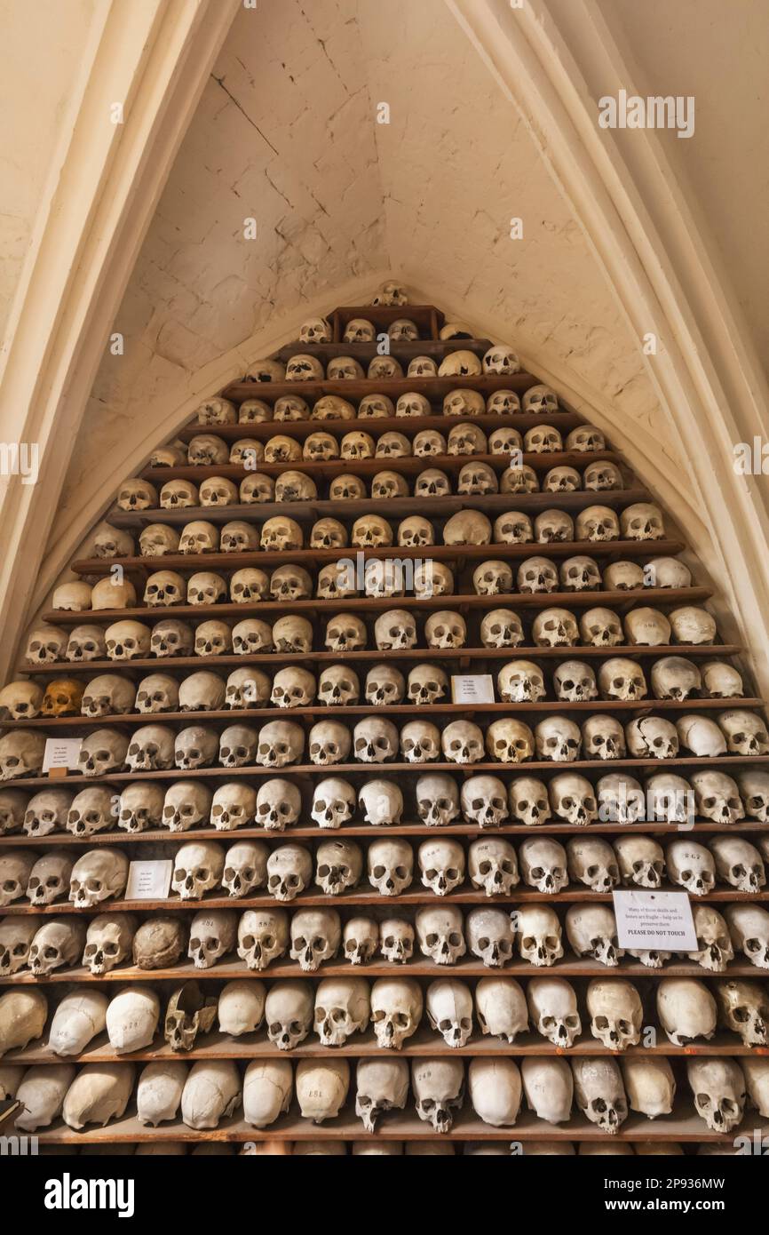 Inghilterra, Kent, Hythe, St.Leonard's Church, ossa umane nella cripta Foto Stock