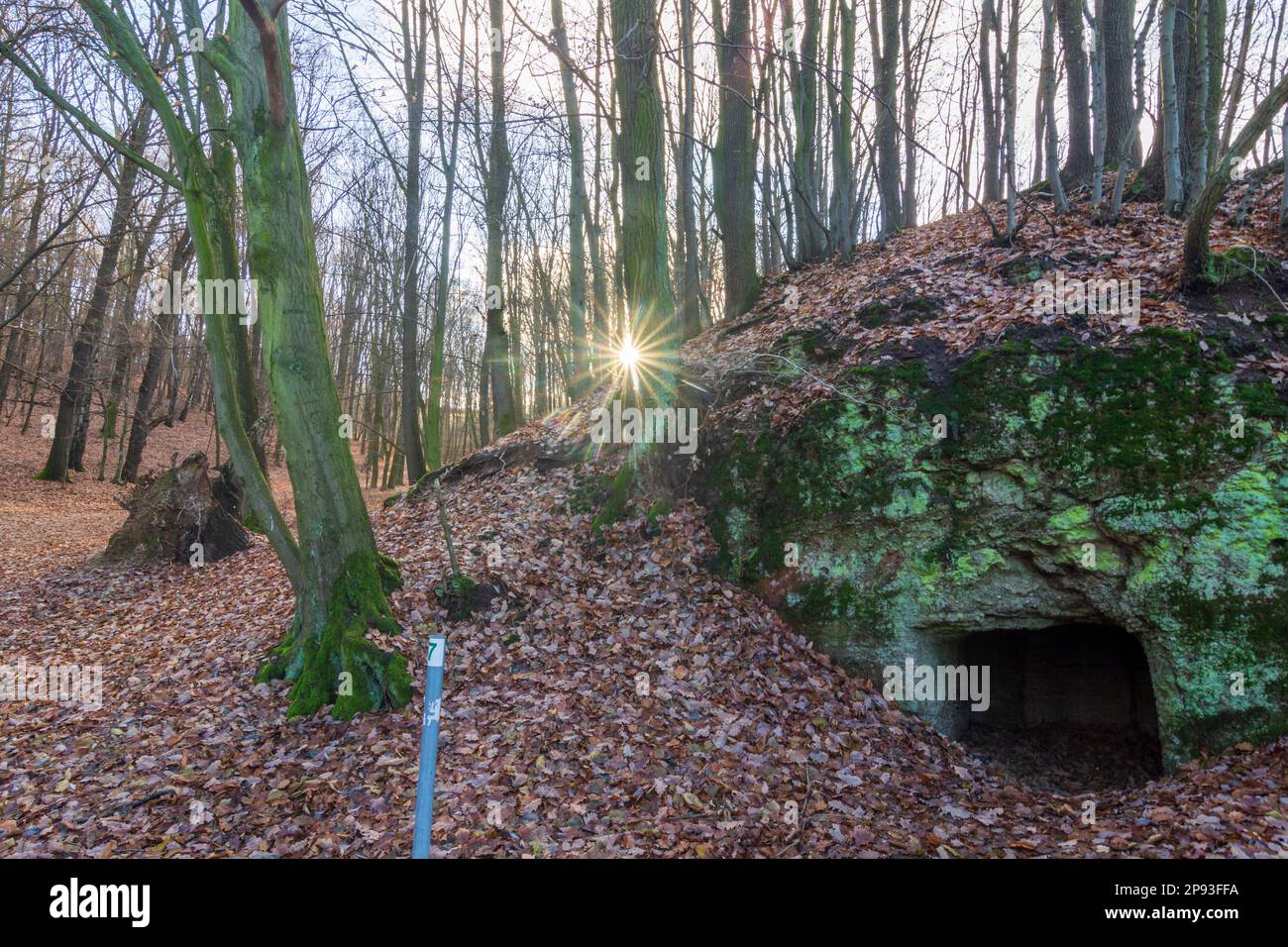 Freital, Valle di Kaitzbach (Kaitzgrund), grotta in Sassonia, Germania Foto Stock