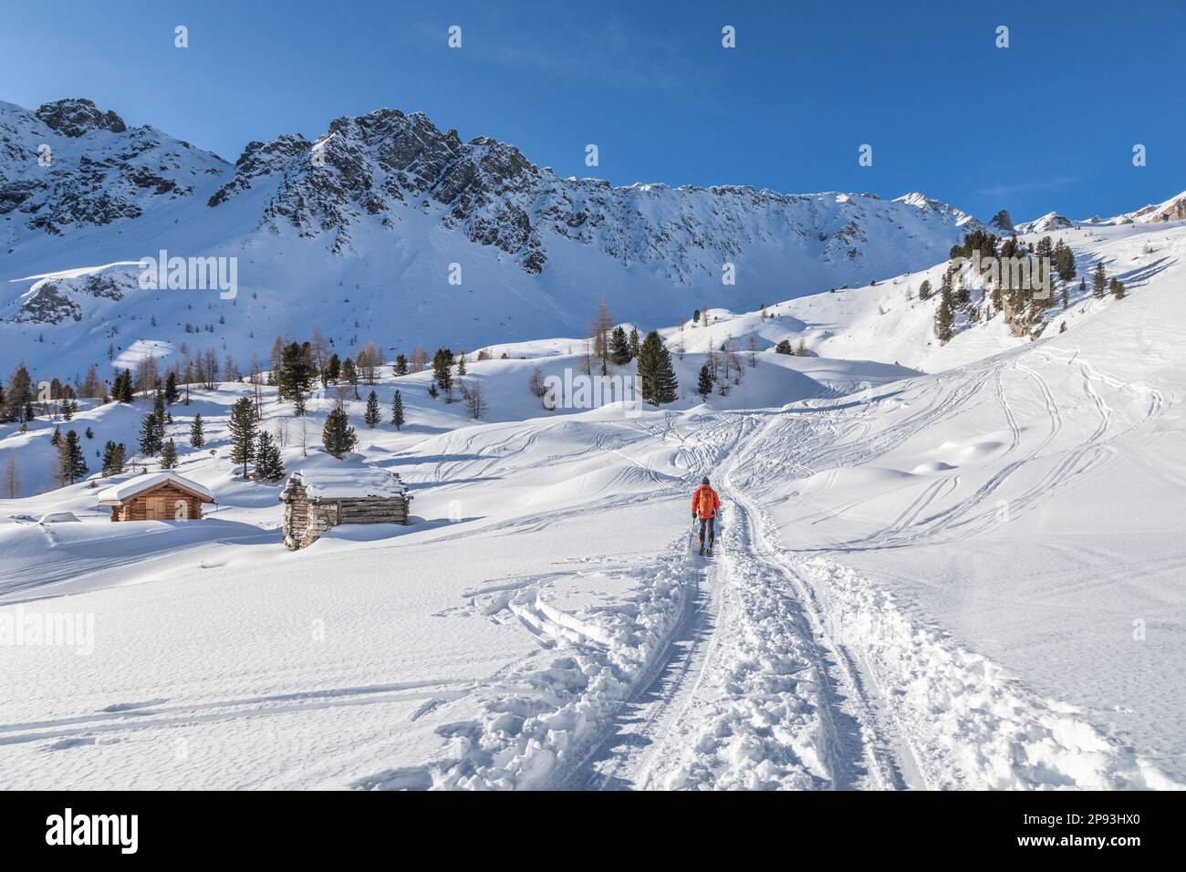 Italia, Trentino Alto Adige, provincia di Trento, San Giovanni di Fassa, sci di fondo in Val Monzoni, Val di Fassa, Dolomiti Foto Stock