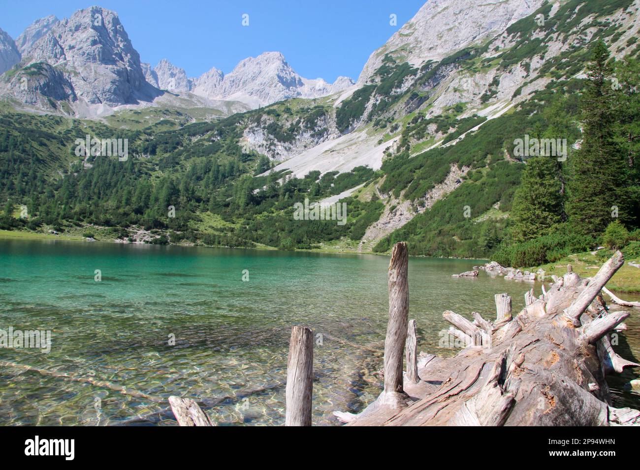 Austria, Tirolo, Ehrwald, Seebensee, radice, superficie dell'acqua, lago, lago di montagna, paesaggio montano, massiccio montano, Foto Stock