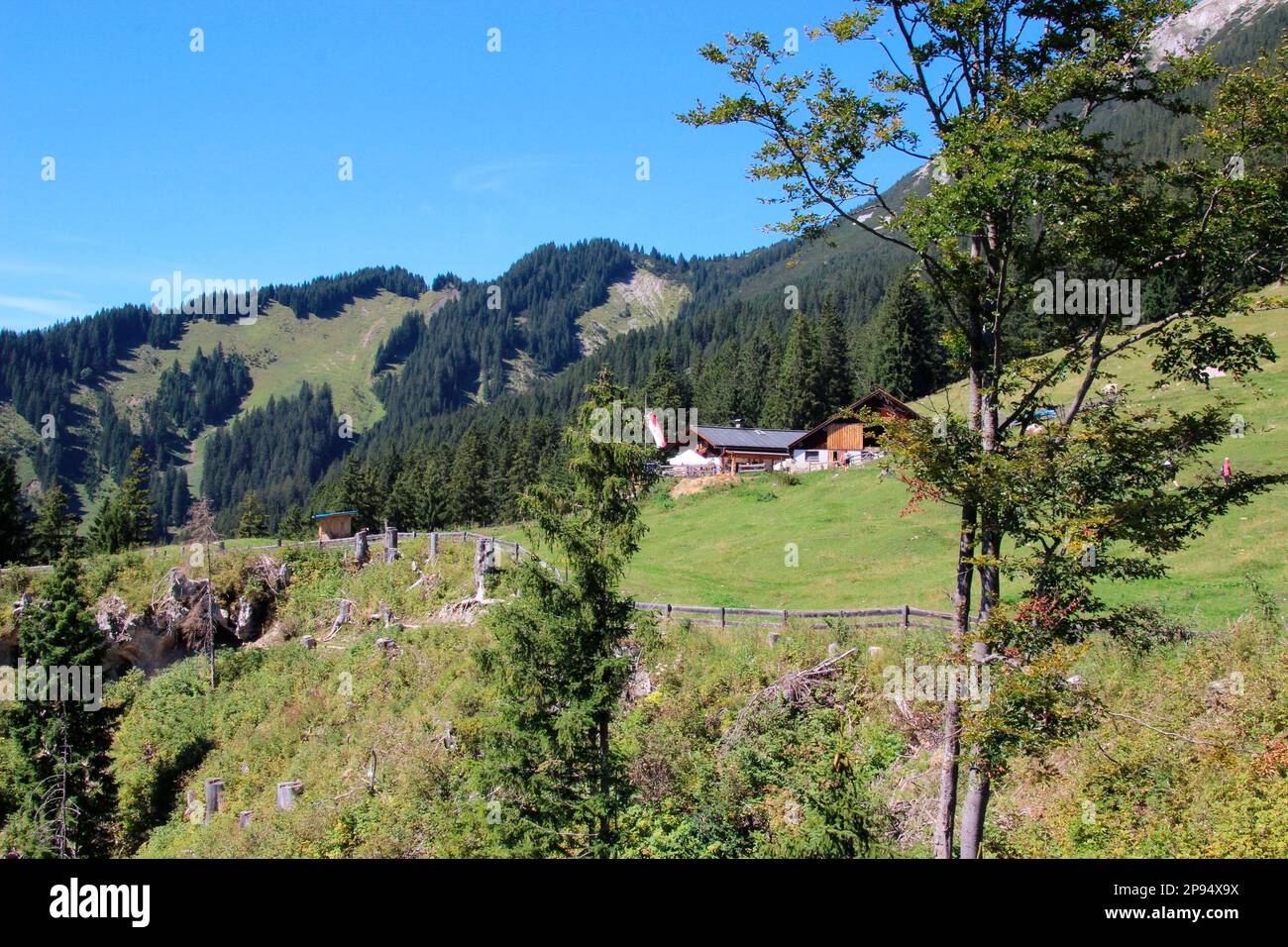 Vista dalla stazione panoramica di ritorno a Tuftlalm (1496m), Lermoos, Zugspitzarena, Tirolo, Austria Foto Stock