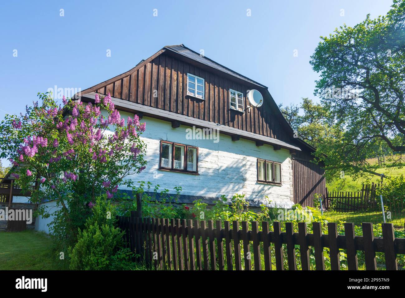Hruby Jesenik (Altvatergebirge, alta Ash Mountains), tipica casa in legno moraviano a Moravskoslezsky, Moravian-Silesian Region, Mährisch-schlesische Region, Czech Foto Stock