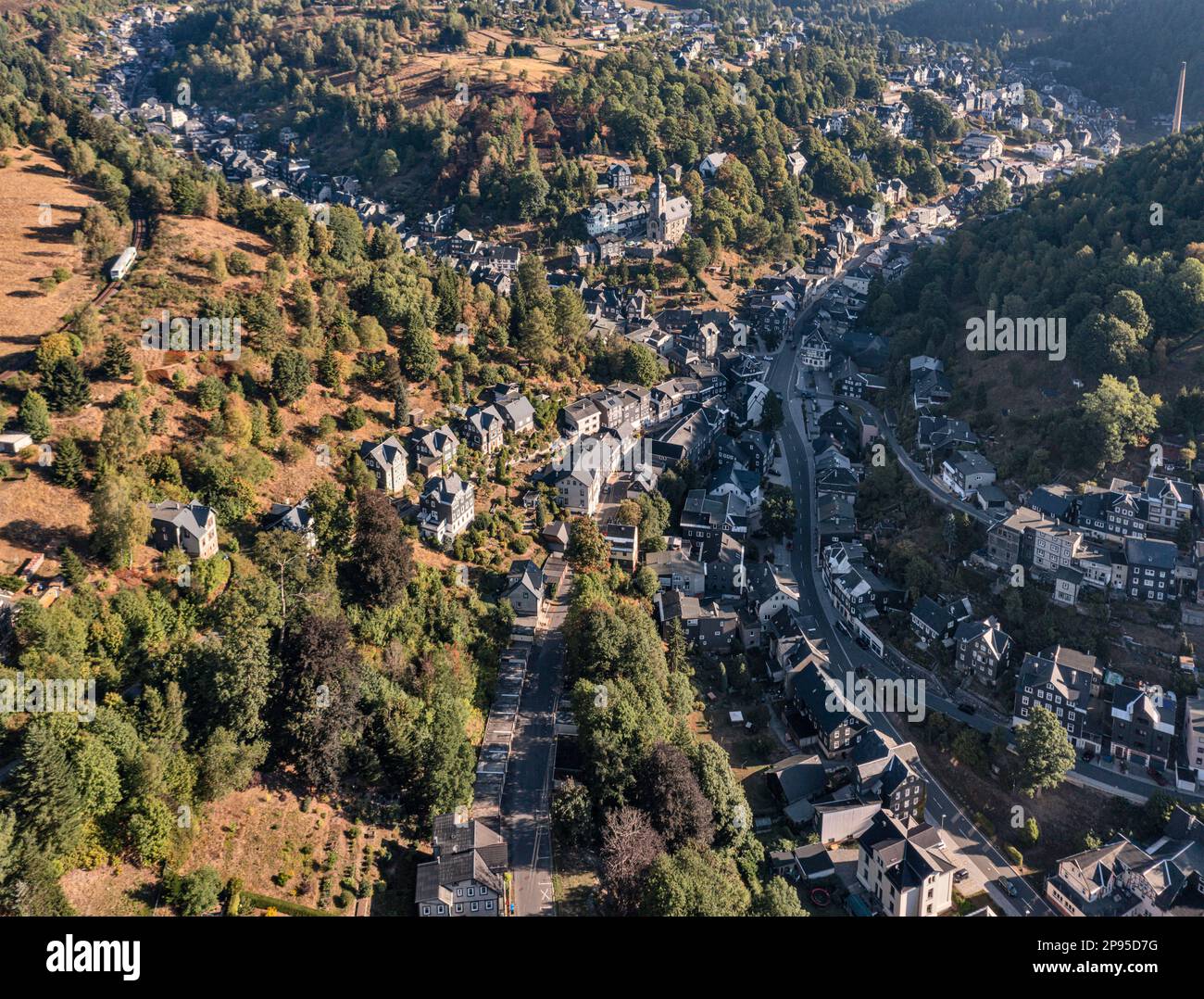 Germania, Turingia, Lauscha, piccola città, si estende su diverse valli strette, montagne, foresta, treno regionale sulla città, treno 2104, luce del mattino, vista obliqua, vista aerea Foto Stock