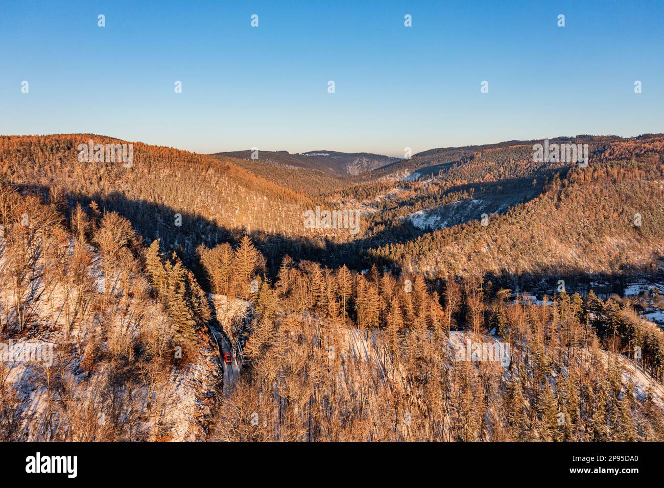 Germania, Turingia, Schwarzburg, vista sulla Schwarzatal, foresta, treno regionale 60, treno 29886, neve Foto Stock