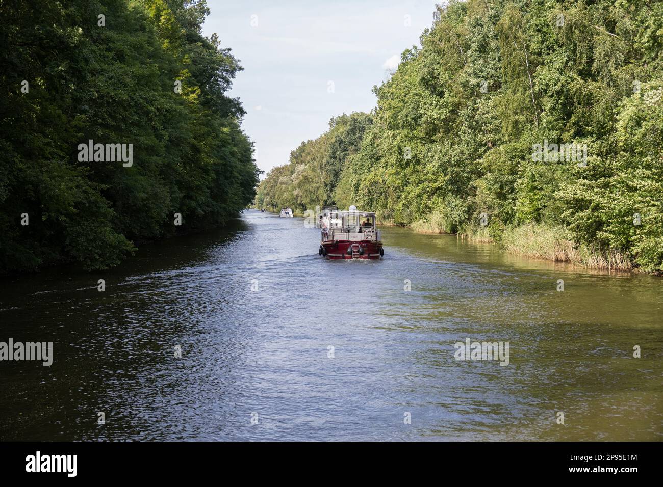 Germania, Meclemburgo-Pomerania occidentale, Müritz-Havel-Waterway, MHW, Mirower Kanal, Distretto dei laghi di Meclemburgo, Parco dei laghi di Müritz Foto Stock